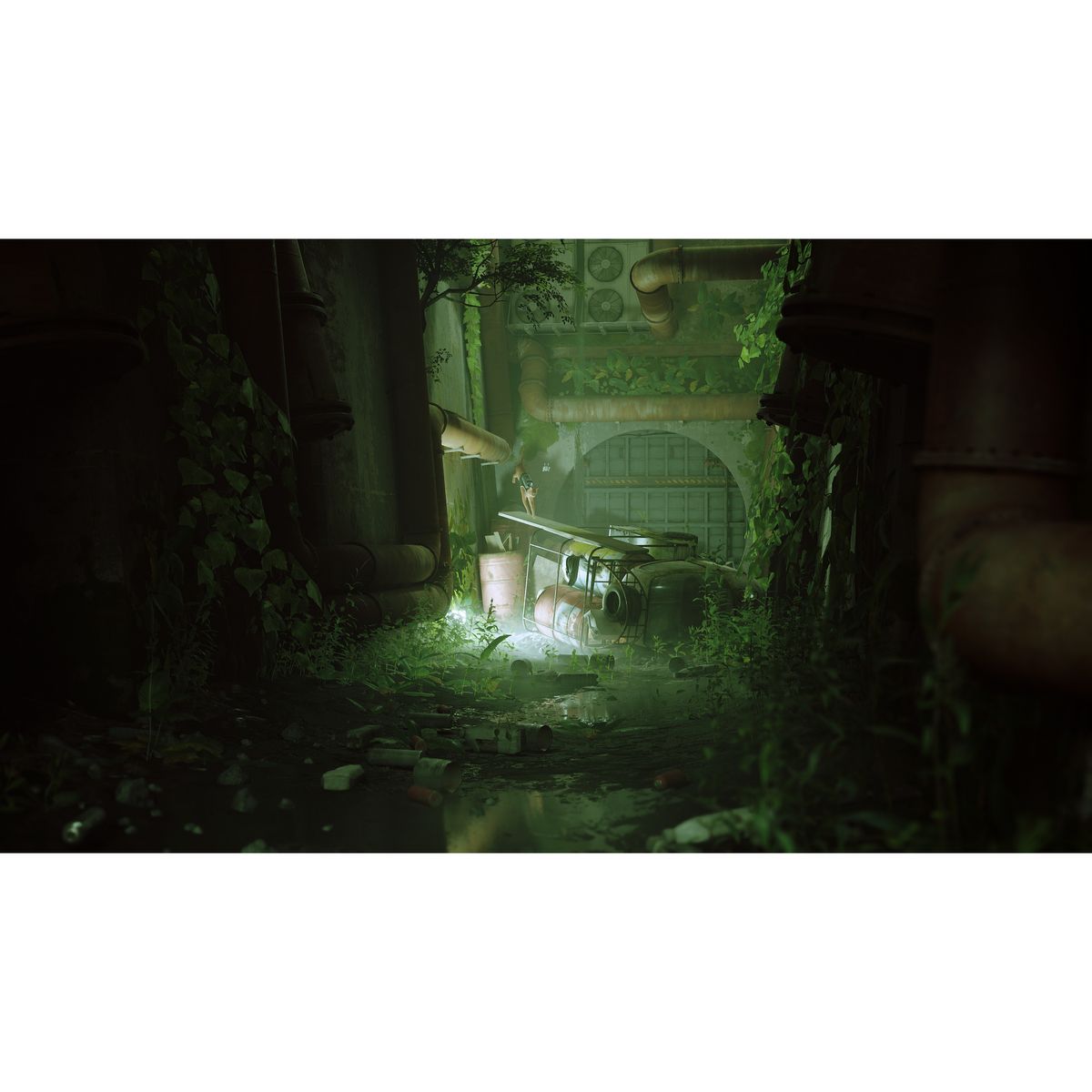 Stray Nintendo Switch