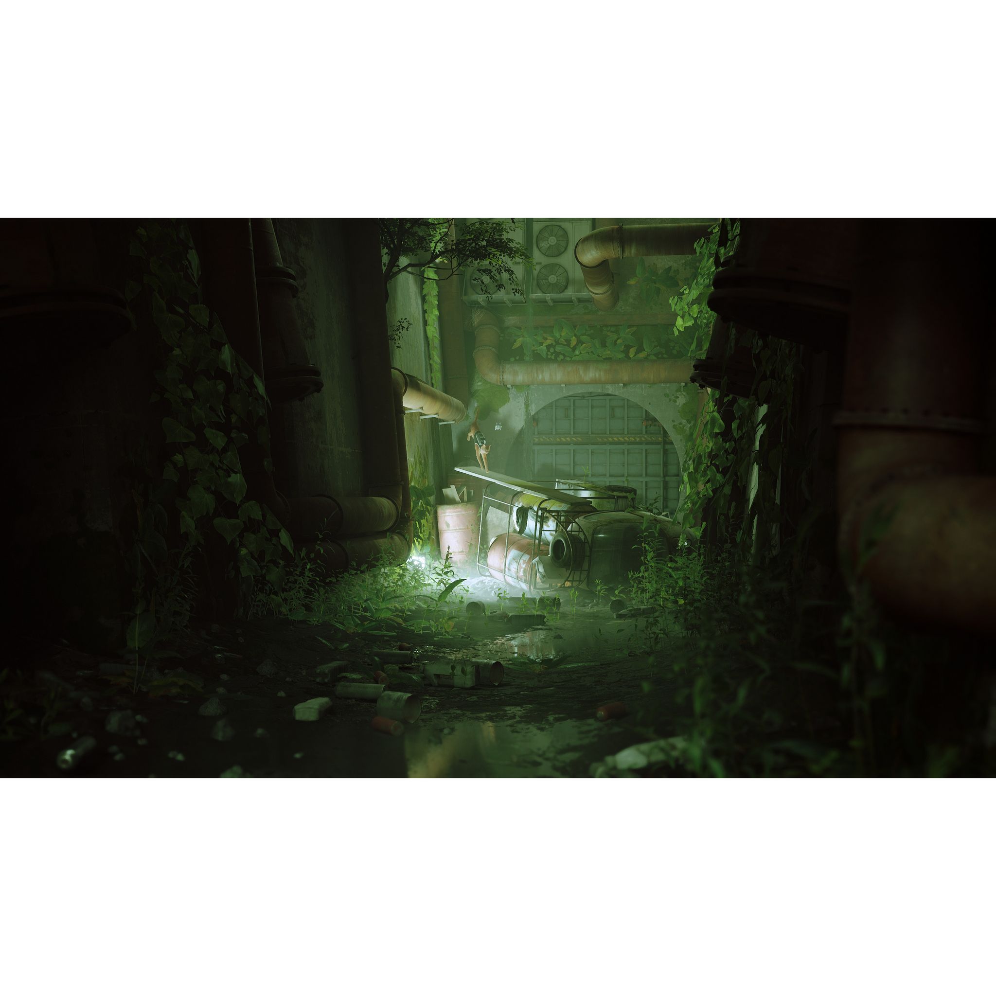 Voir la diapositive 2 : Stray Nintendo Switch