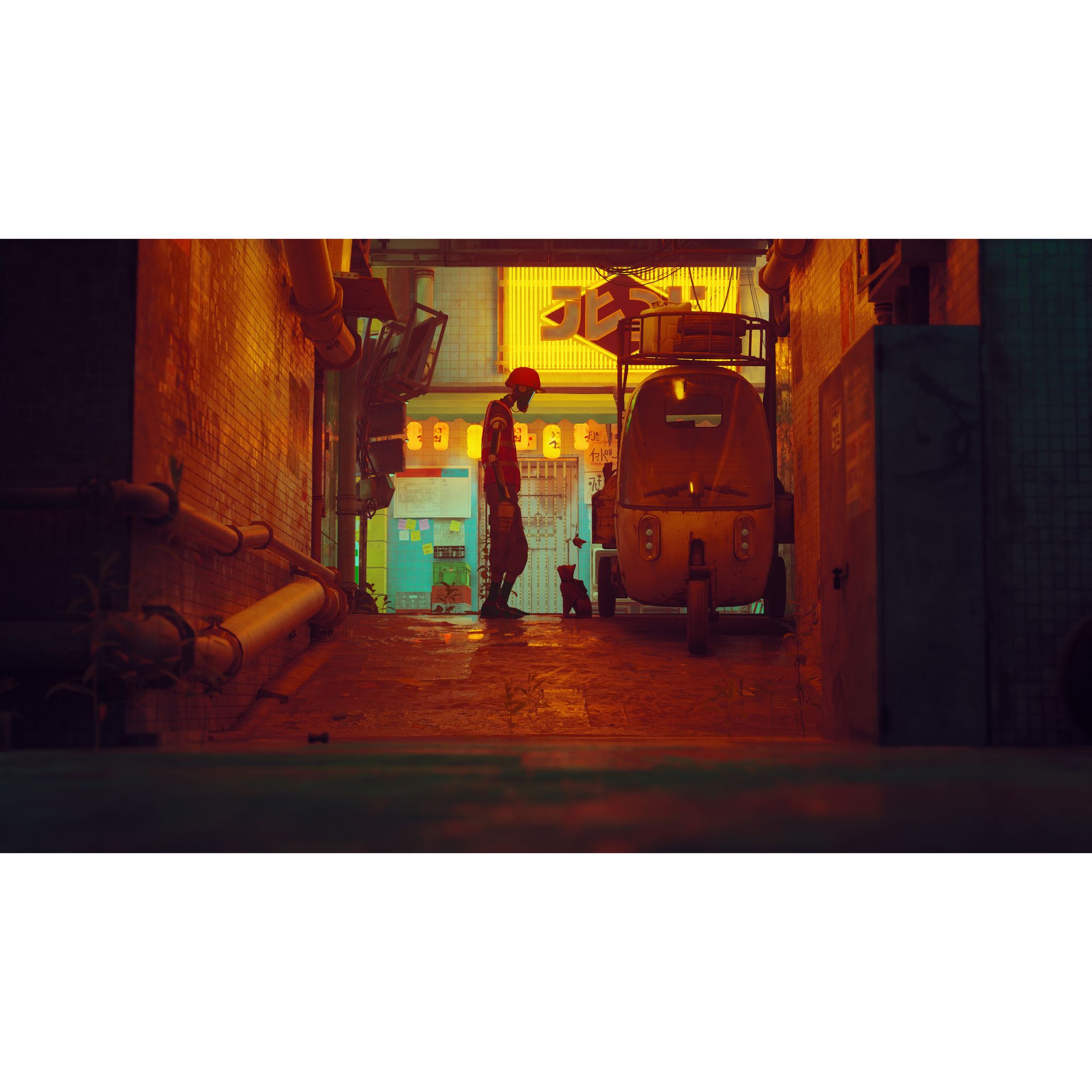 Voir la diapositive 4 : Stray Nintendo Switch