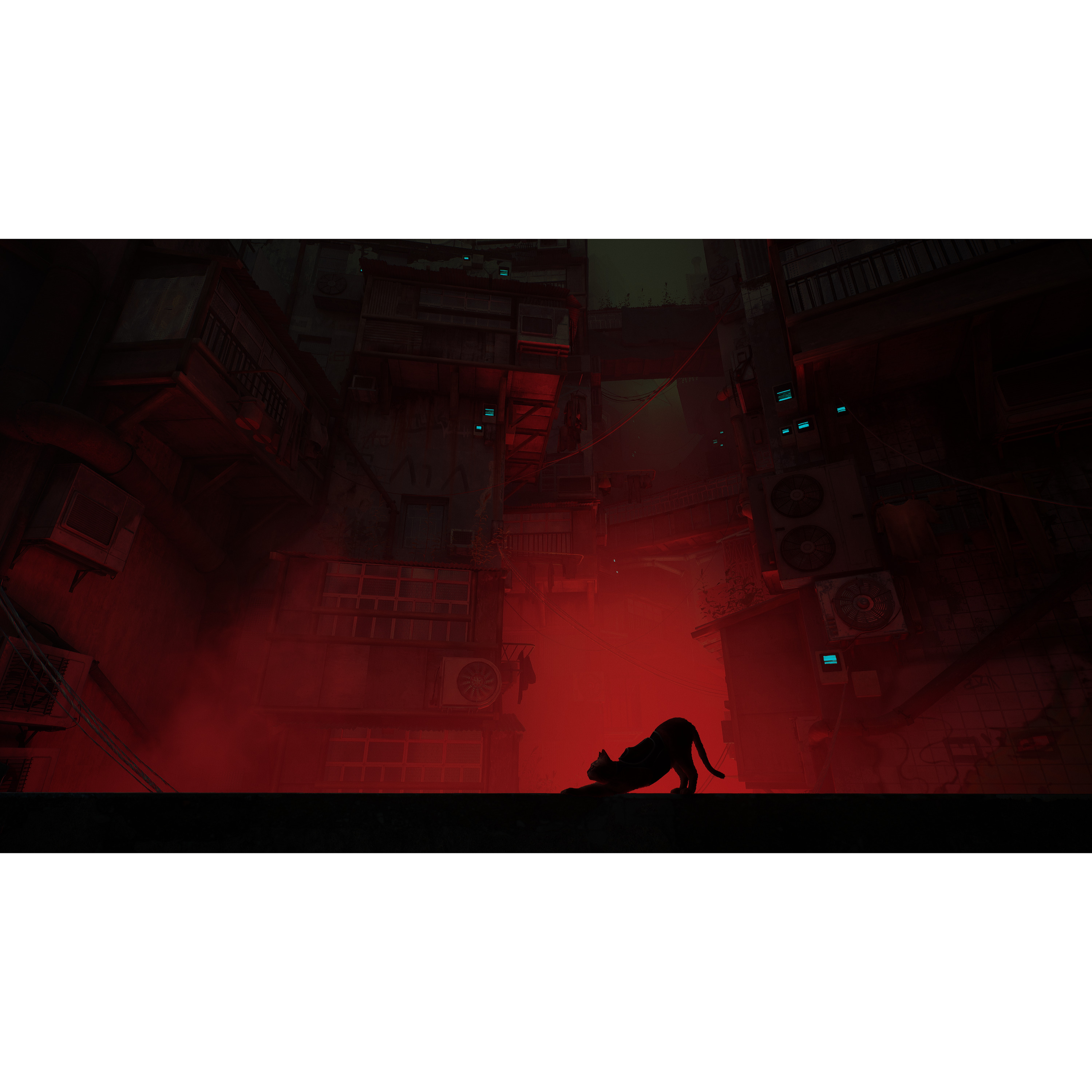 Voir la diapositive 5 : Stray Nintendo Switch