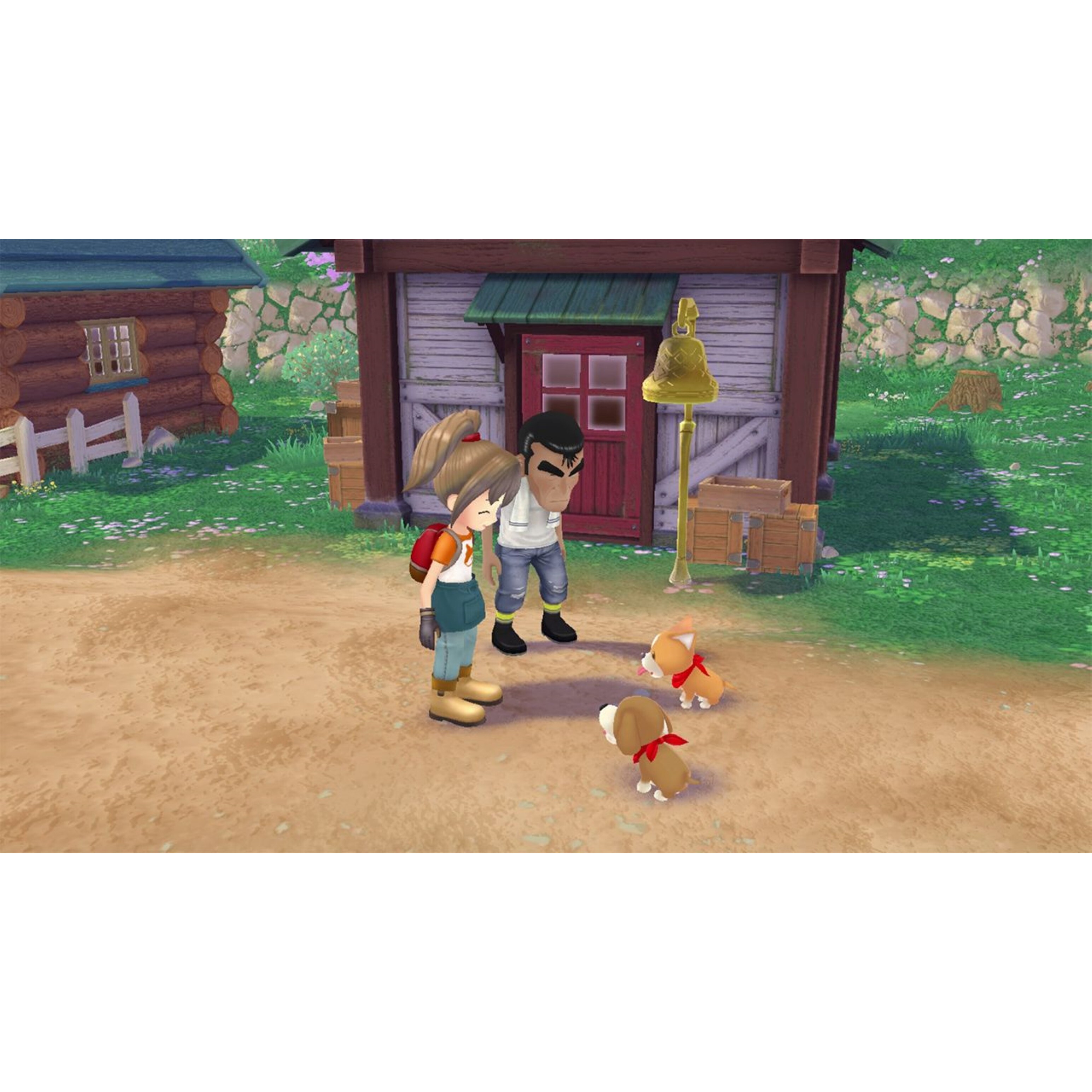 Voir la diapositive 2 : Story Of Seasons : A Wonderful Life PS5