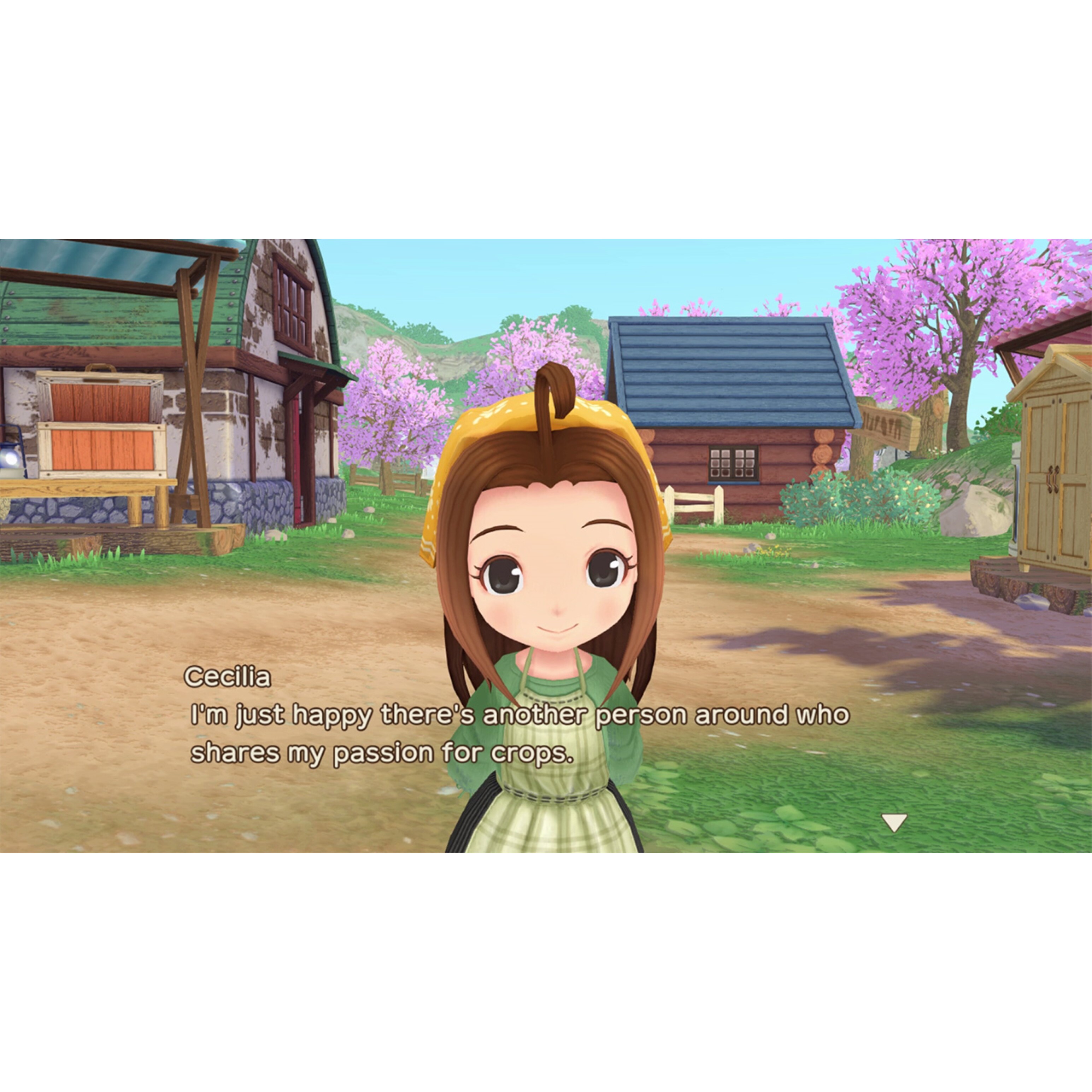 Voir la diapositive 4 : Story Of Seasons : A Wonderful Life PS5