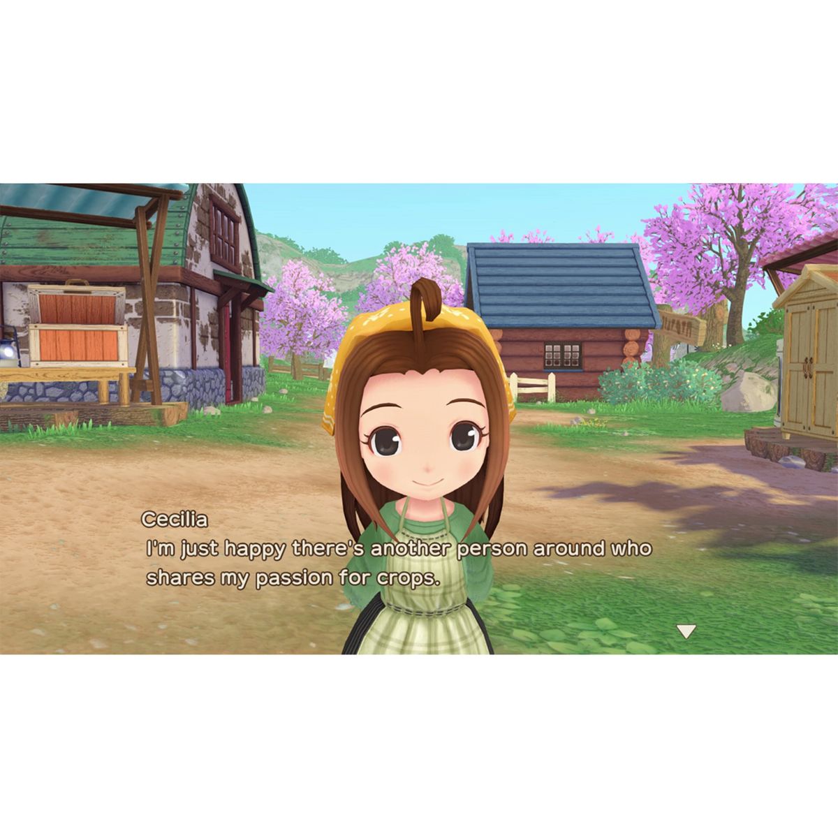 Story Of Seasons : A Wonderful Life PS5