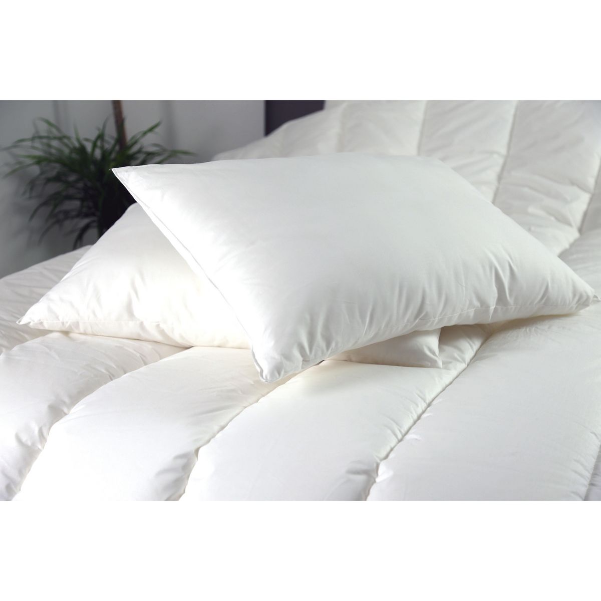 ACTUEL Oreiller confort moelleux toucher doux