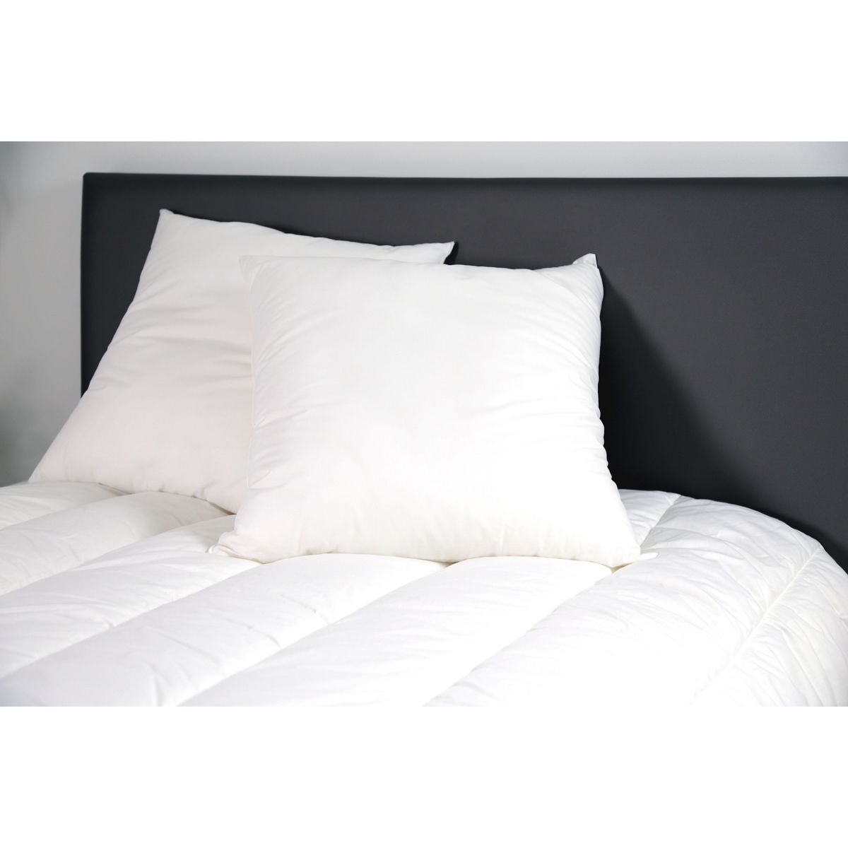 ACTUEL Lot de 2 oreillers moelleux toucher doux