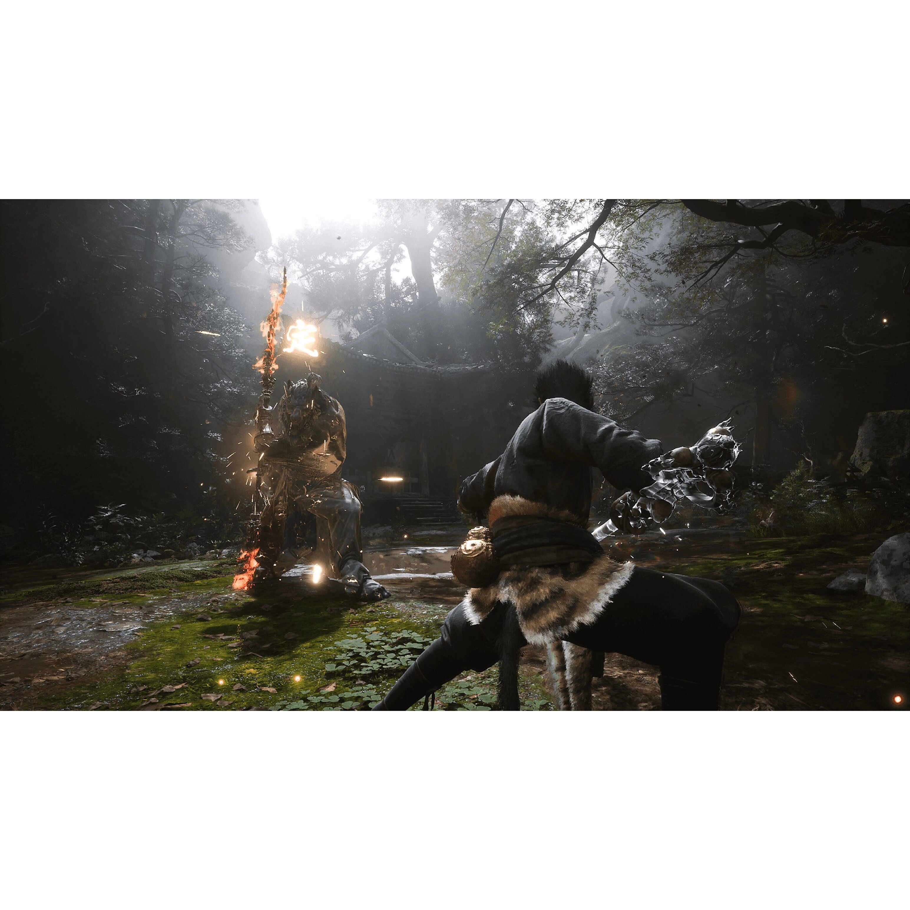 Voir la diapositive 2 : Black Myth : Wukong PS5