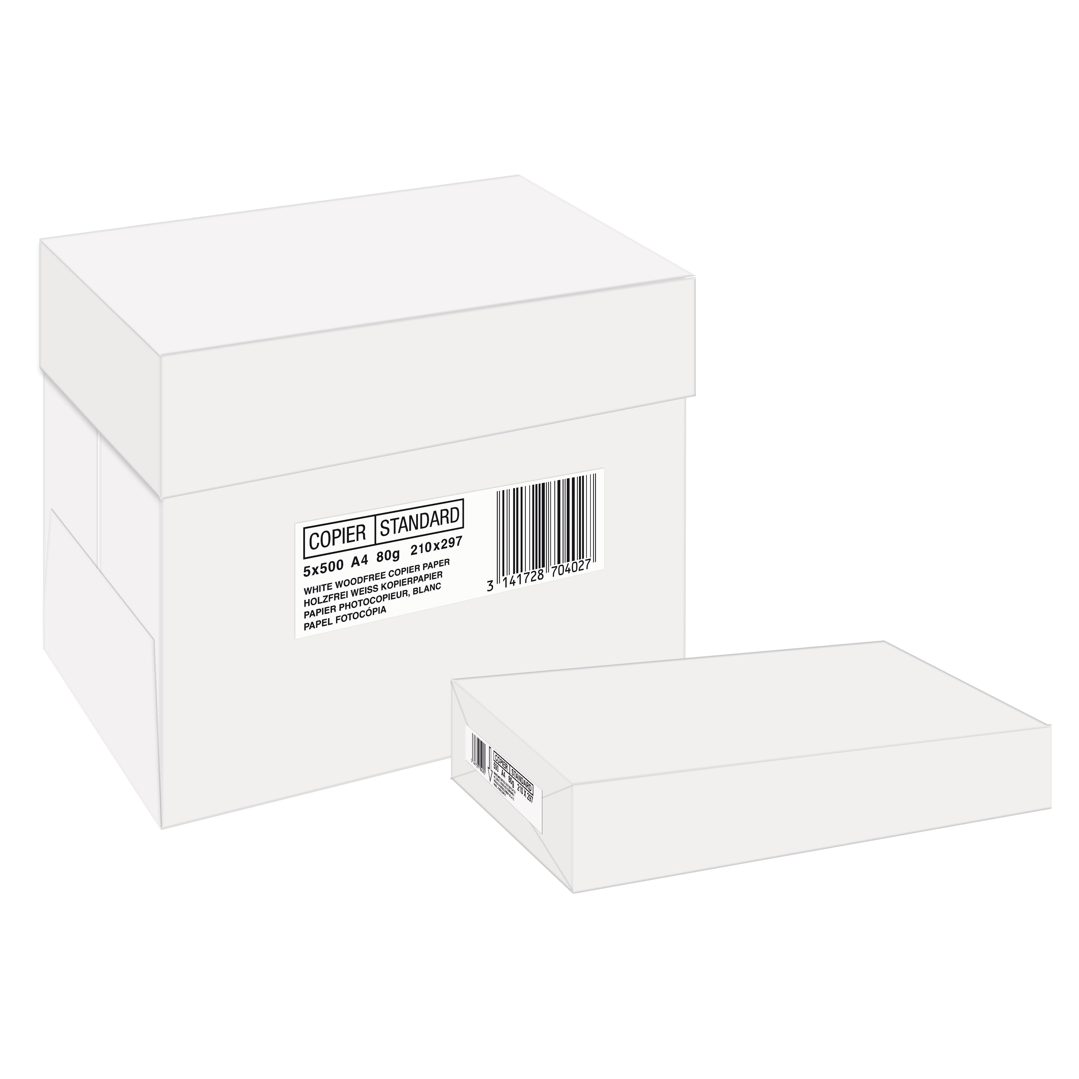Papier Blanc 500 feuilles Format A4 80g/m2
