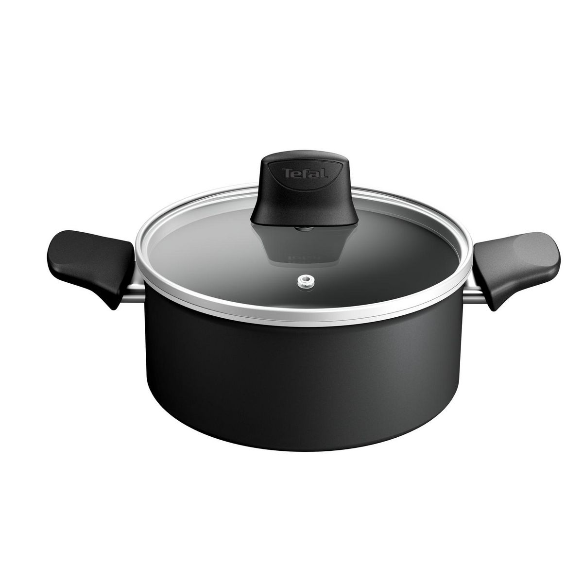 TEFAL Faitout 20 cm tous feux dont induction avec couvercle Character