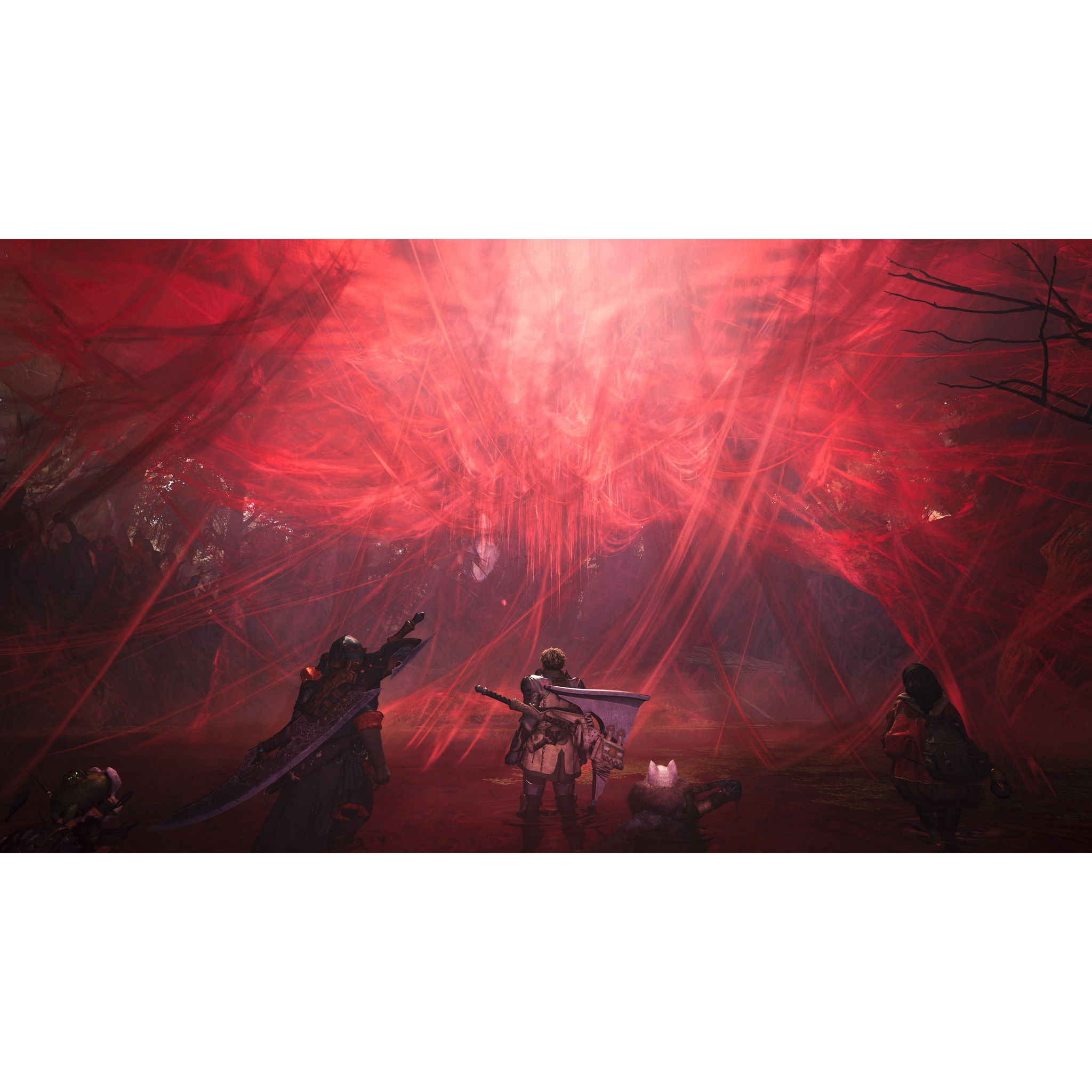 Voir la diapositive 3 : Monster Hunter Wilds Xbox Series X