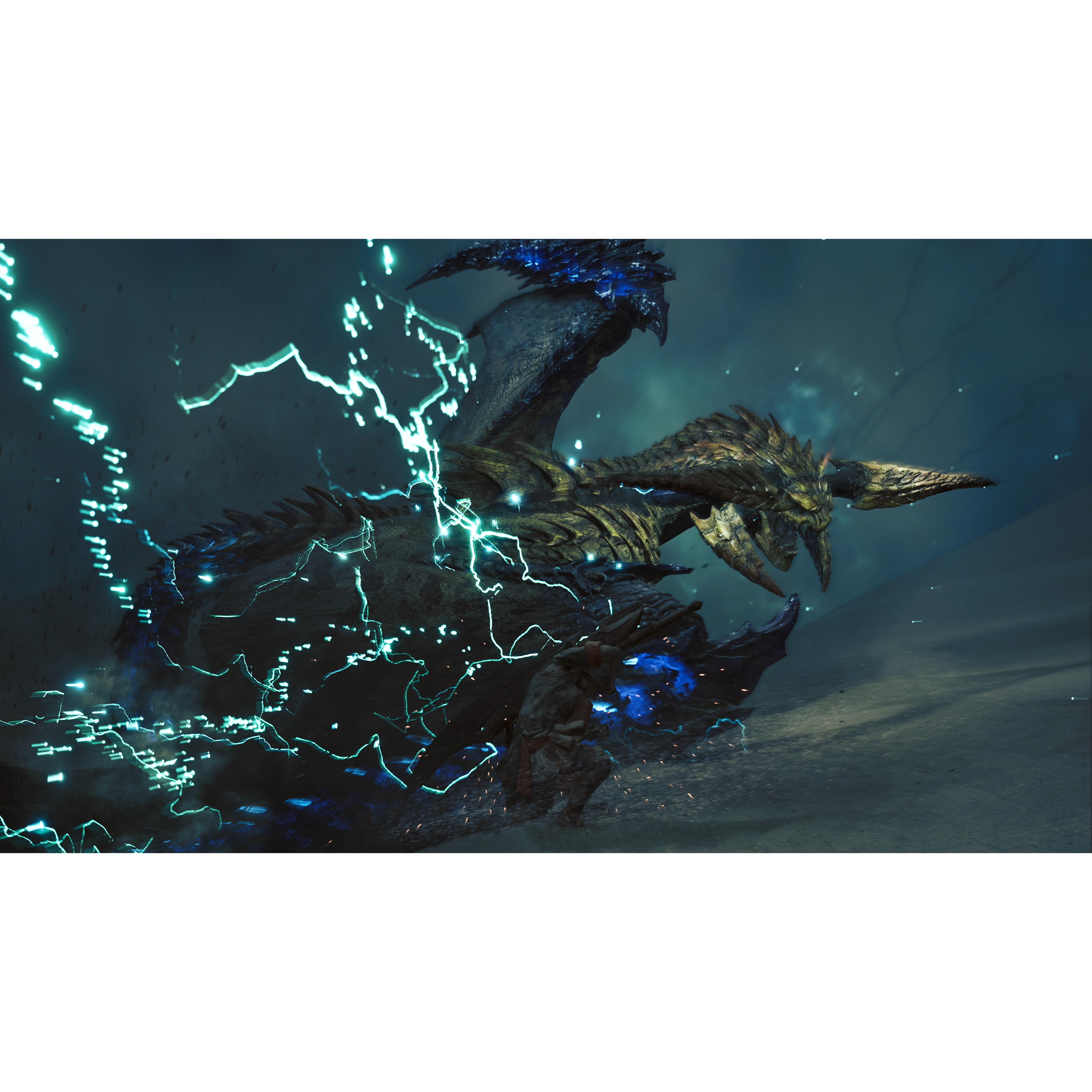 Voir la diapositive 6 : Monster Hunter Wilds PS5