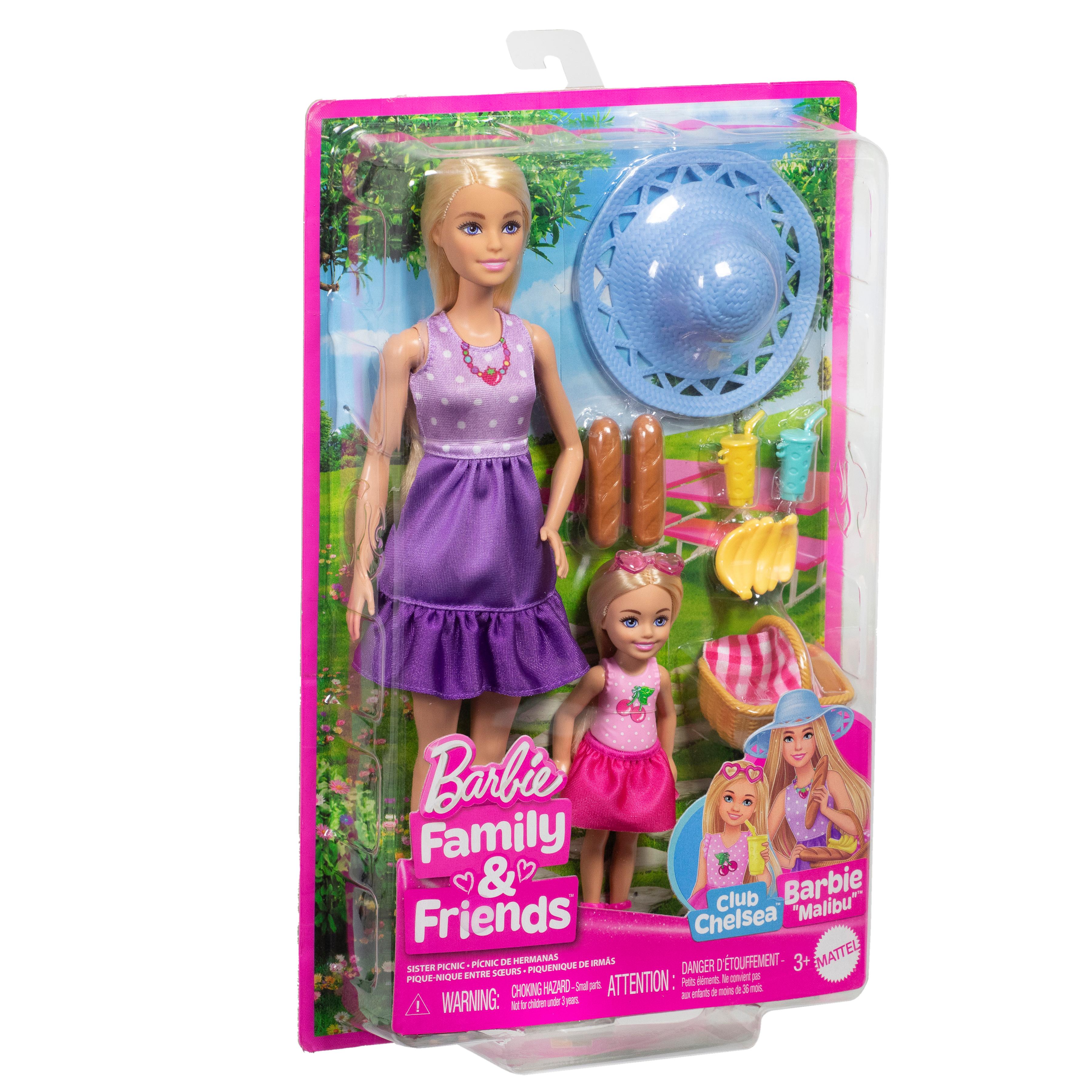 Voir la diapositive 2 : MATTEL Poupée Barbie et Chelsea avec accessoires