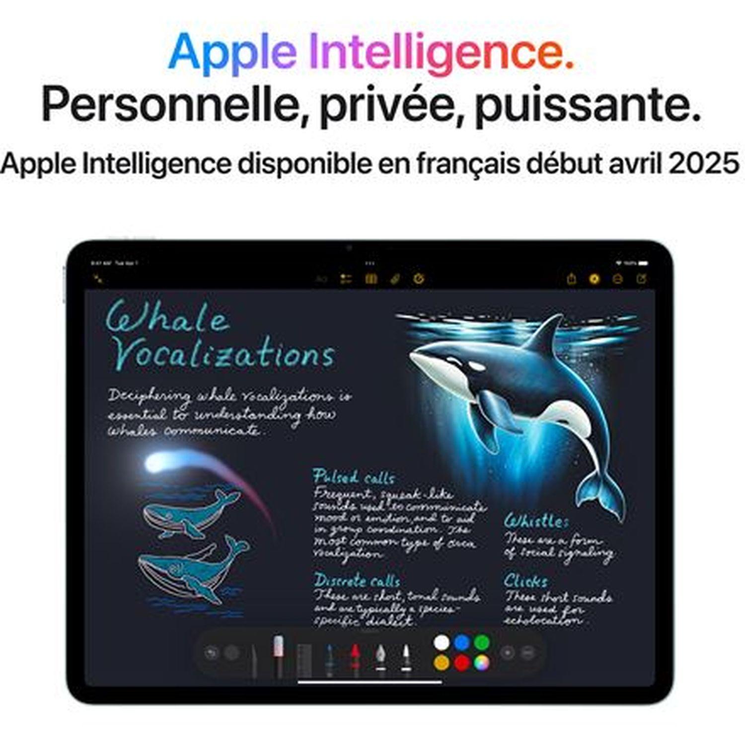 Voir la diapositive 5 : APPLE Tablette Tactile iPad Air 13 pouces 128Go Puce M3 WIFI 7ème génération - Gris Sidéral