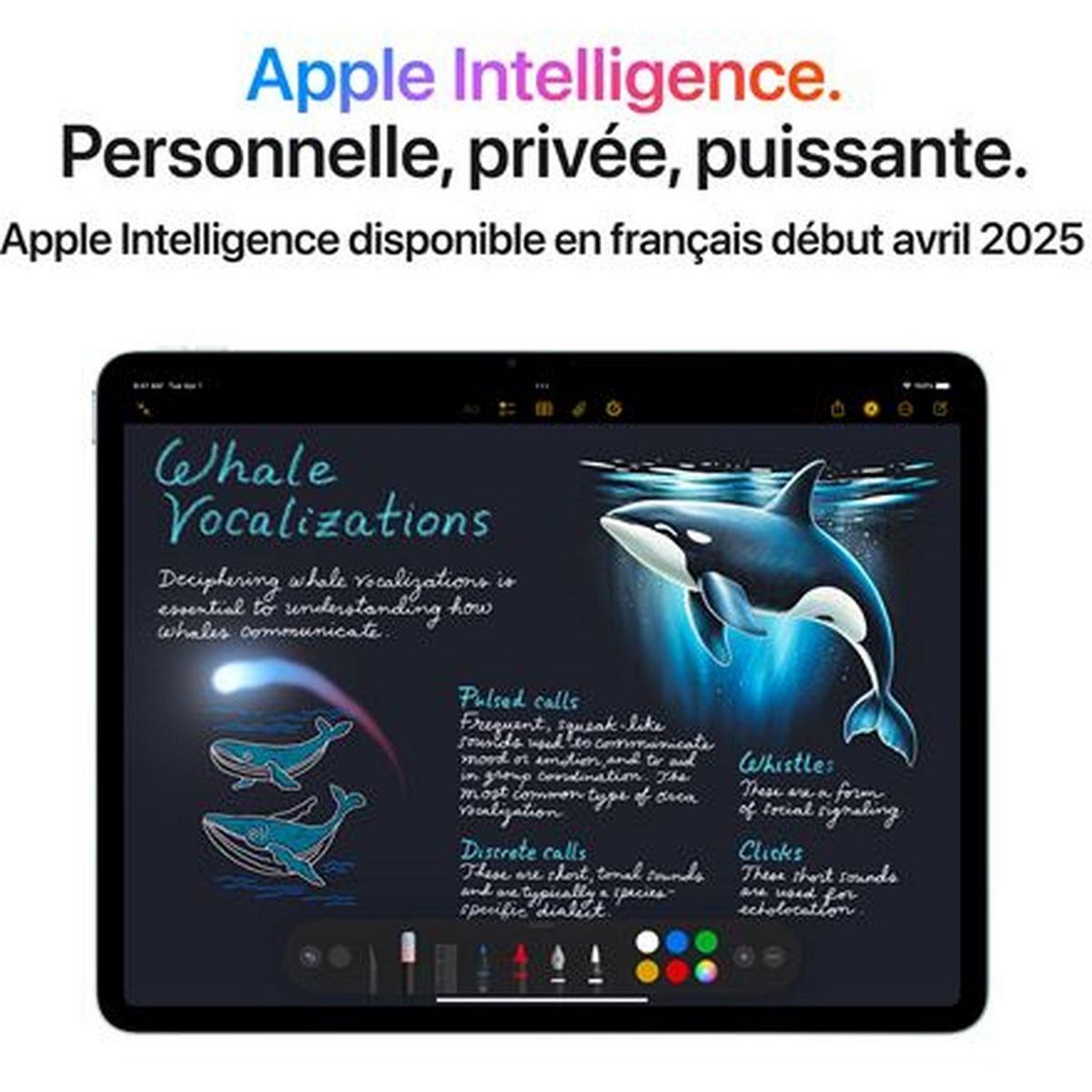 APPLE Tablette Tactile iPad Air 11 pouces 128Go Puce M3 WIFI 7ème génération - Gris Sidéral