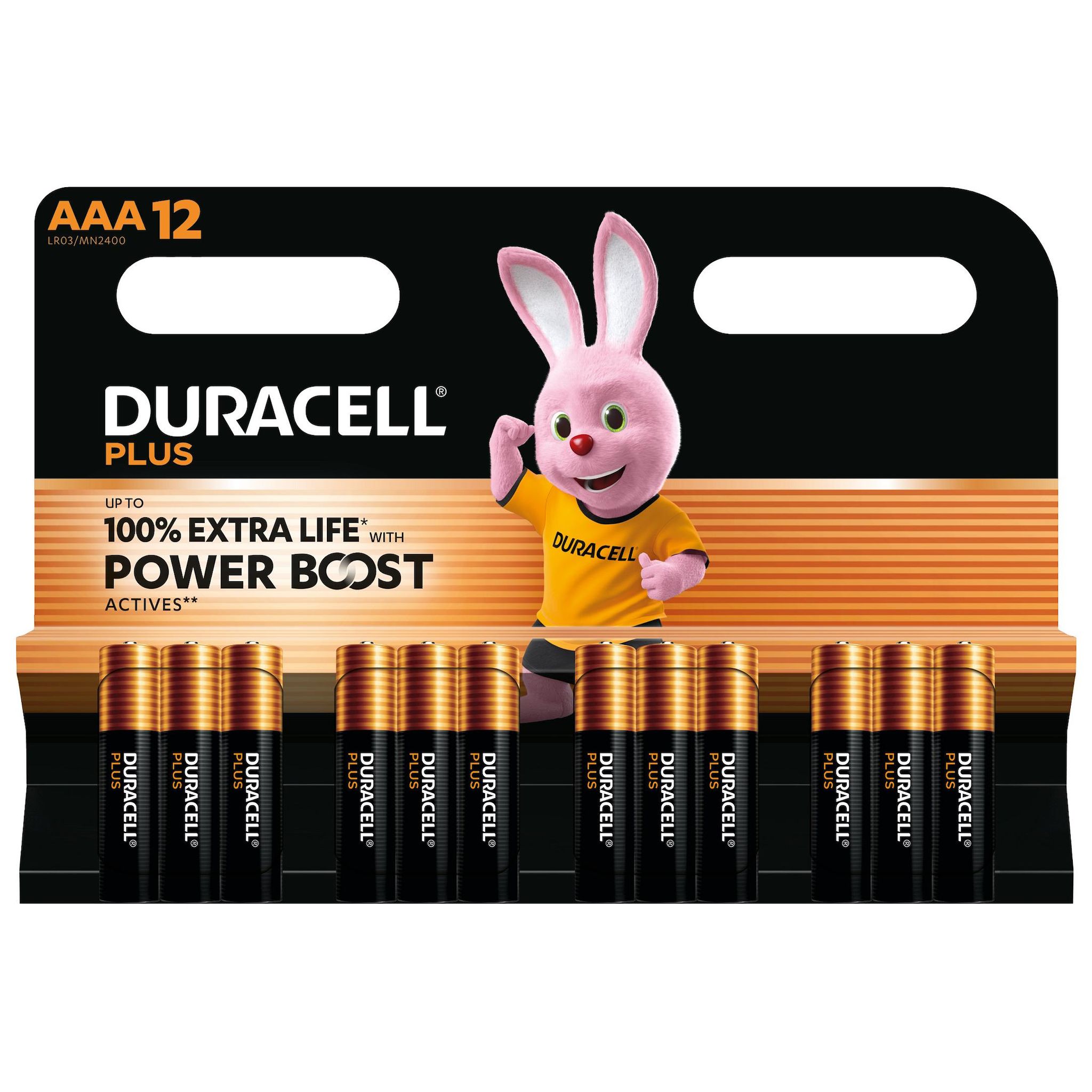 DURACELL Piles Plus Powerboost AAA x12