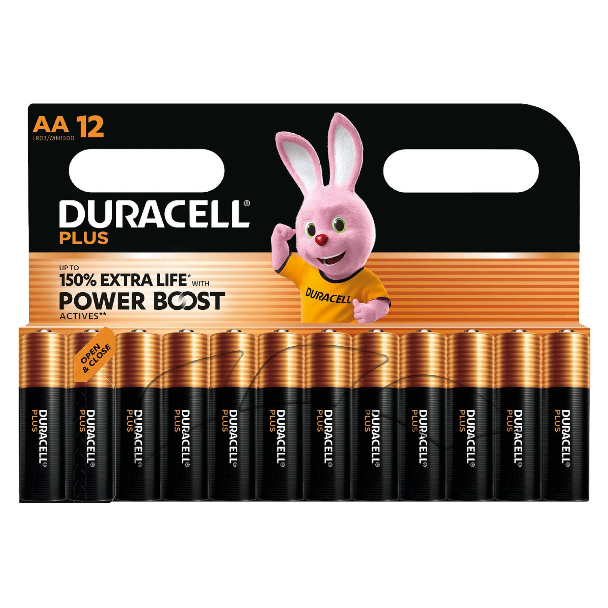 DURACELL 12 piles Plus Powerboost AA