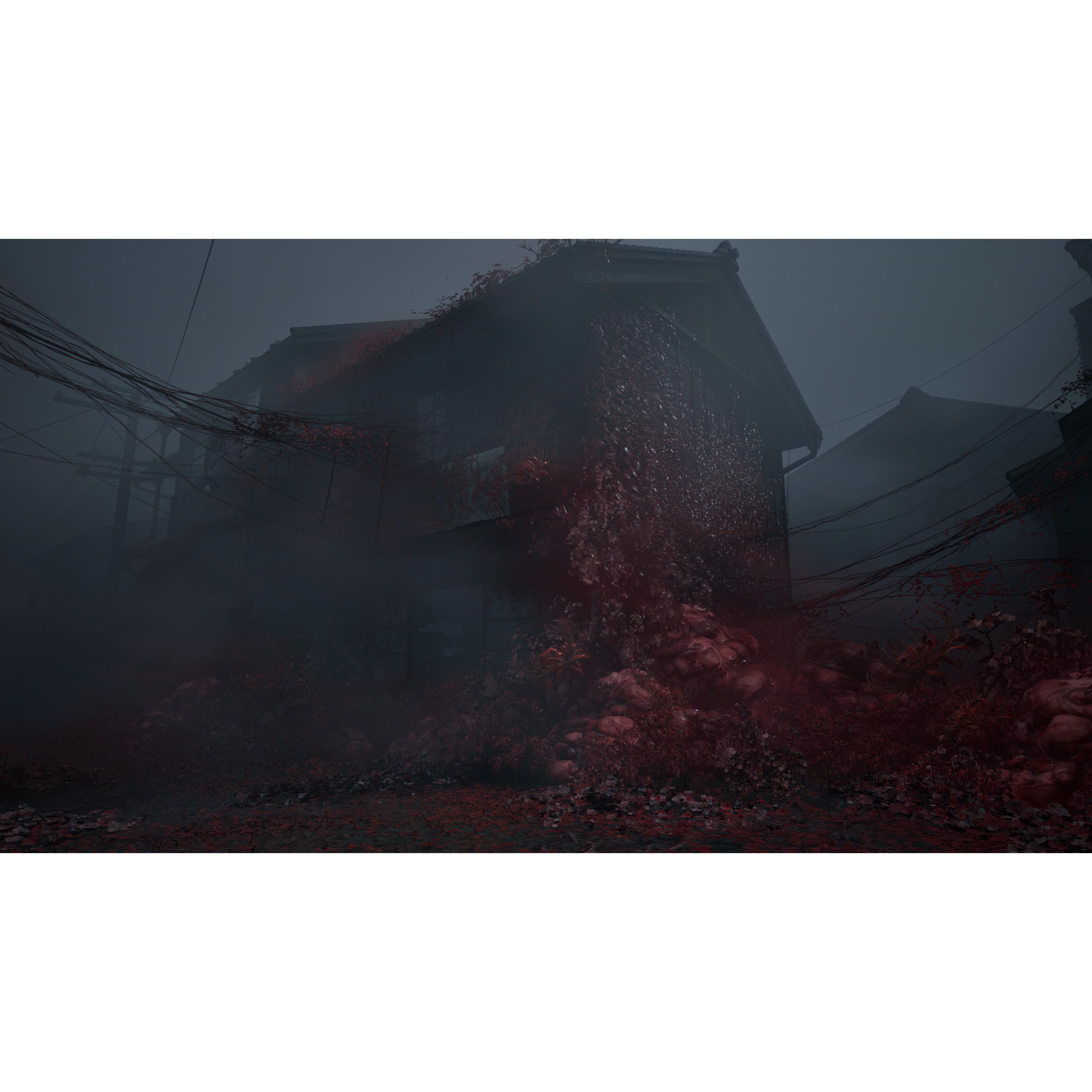 Voir la diapositive 7 : Silent Hill f Xbox Series X