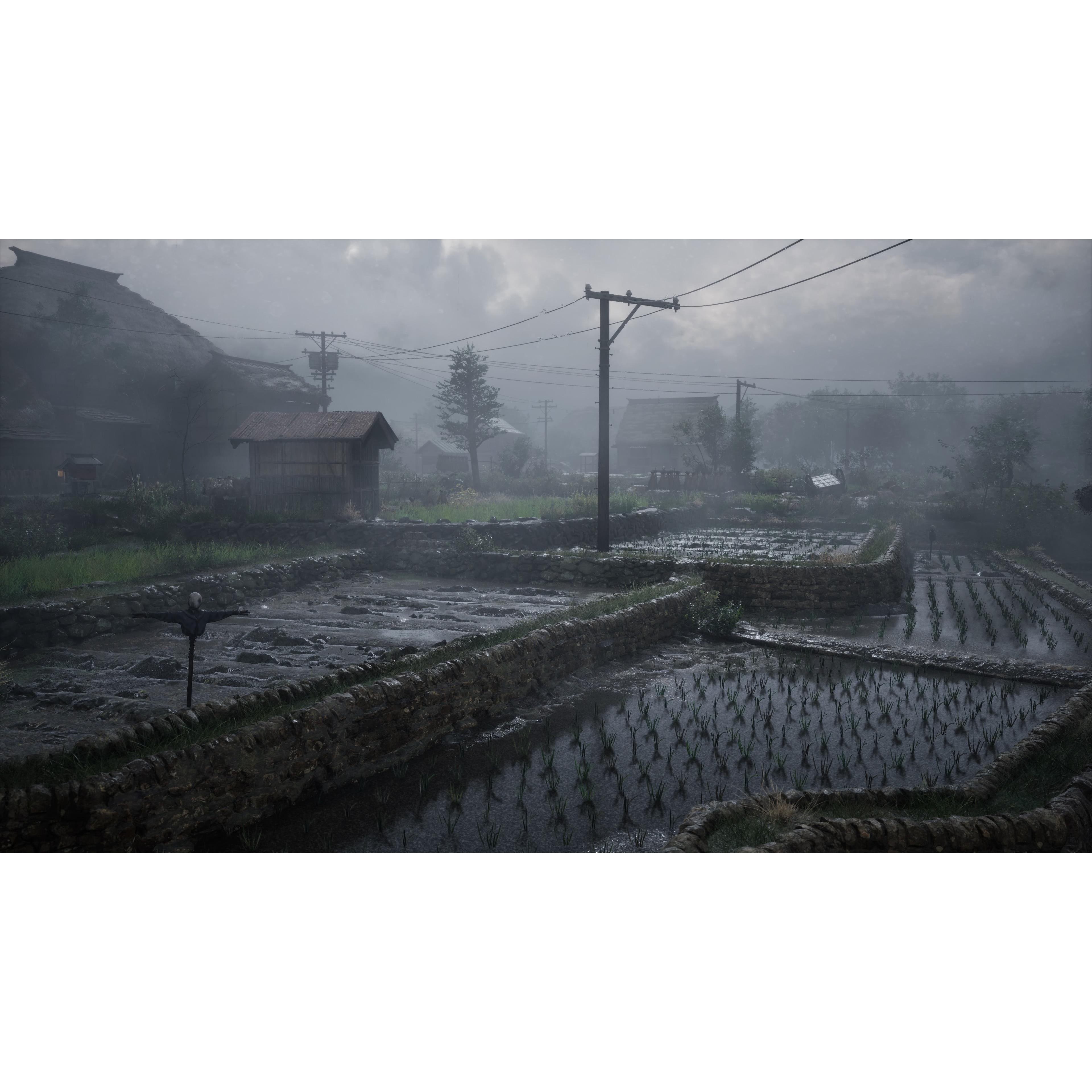 Voir la diapositive 2 : Silent Hill f PS5