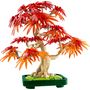 Voir la diapositive 2 : LEGO Botanicals ICONS 10348 - Bonsai d'Erable Rouge du Japon