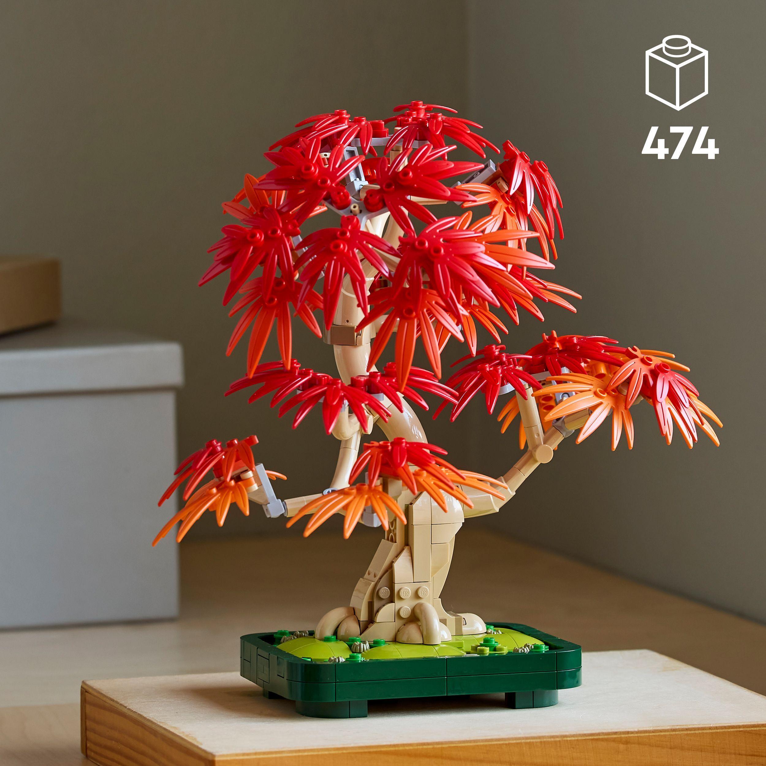 Voir la diapositive 3 : LEGO Botanicals 10348 Bonsaï d’Érable Rouge du Japon - Kit de Construction pour Adulte