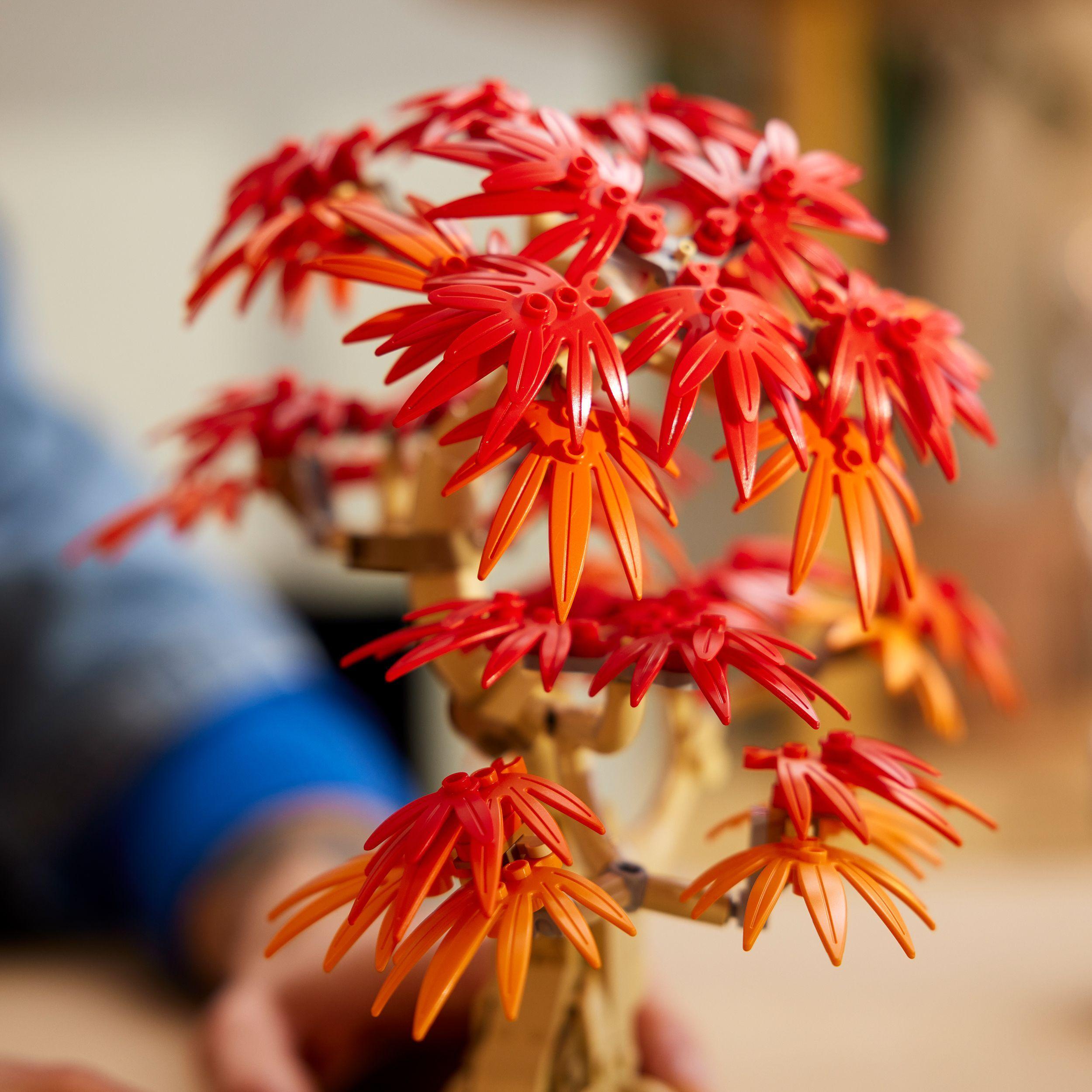 Voir la diapositive 5 : LEGO Botanicals 10348 Bonsaï d’Érable Rouge du Japon - Kit de Construction pour Adulte