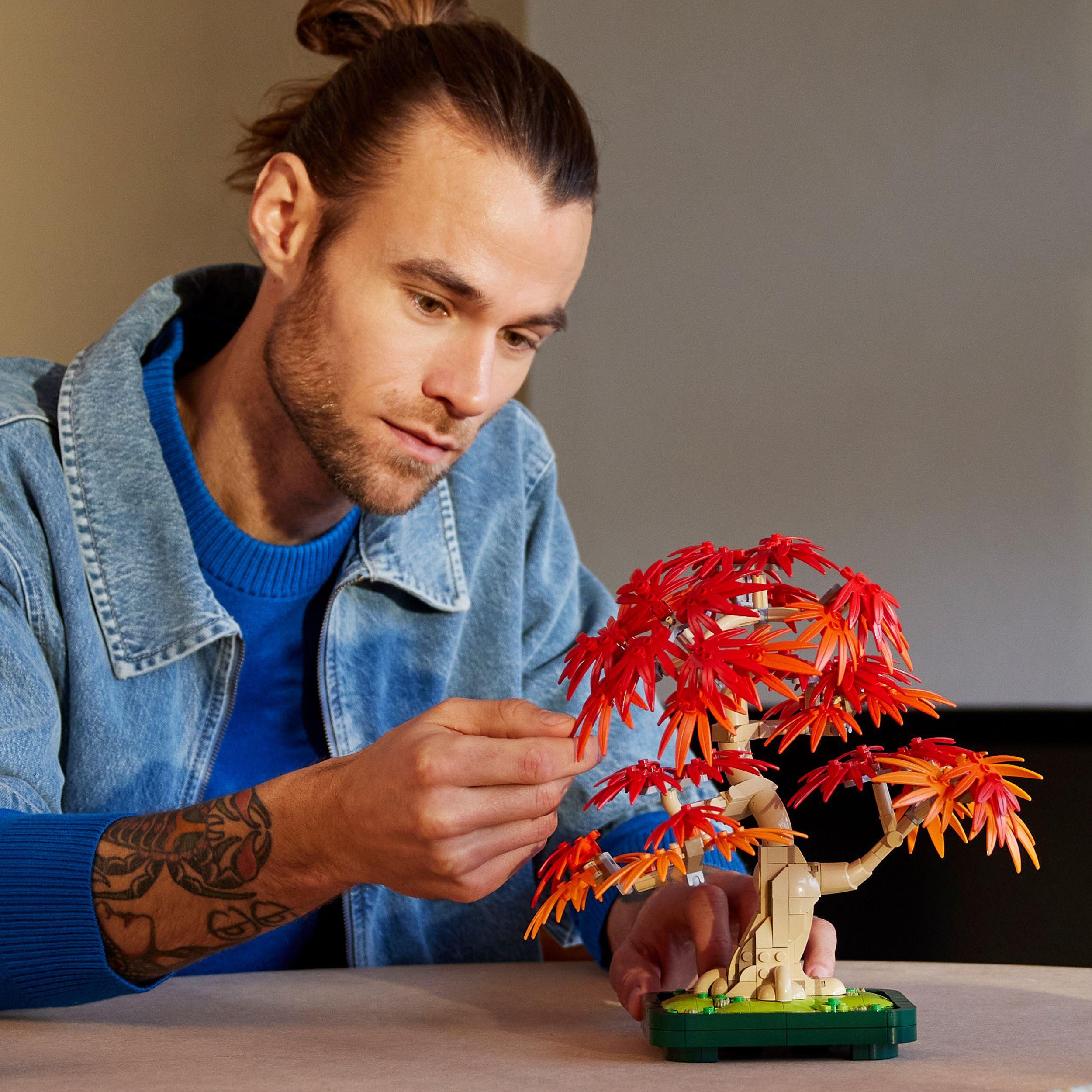 Voir la diapositive 7 : LEGO Botanicals 10348 Bonsaï d’Érable Rouge du Japon - Kit de Construction pour Adulte