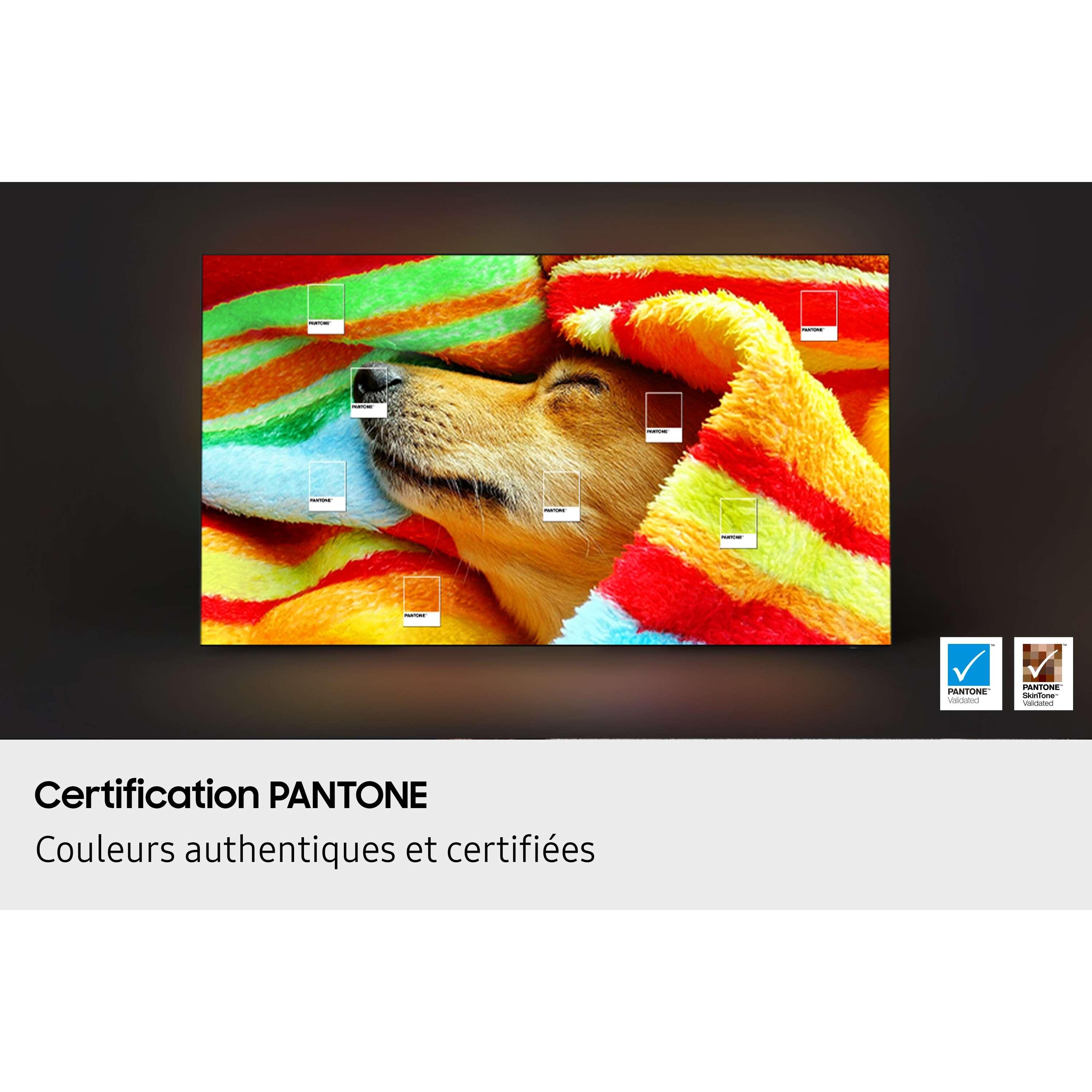 Voir la diapositive 9 : SAMSUNG TV OLED TQ55S85F 2025