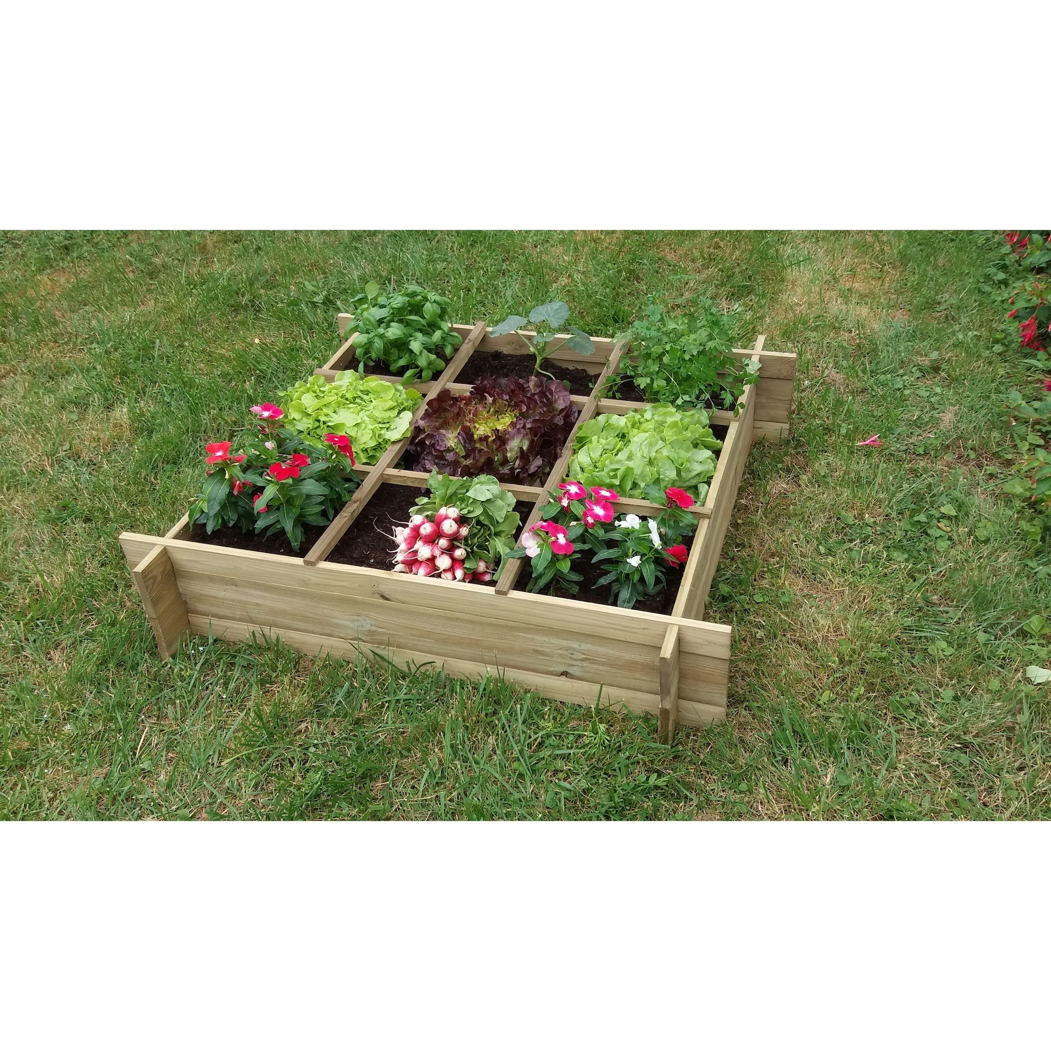 GARDENSTAR Carré potager 100x100xH20 cm