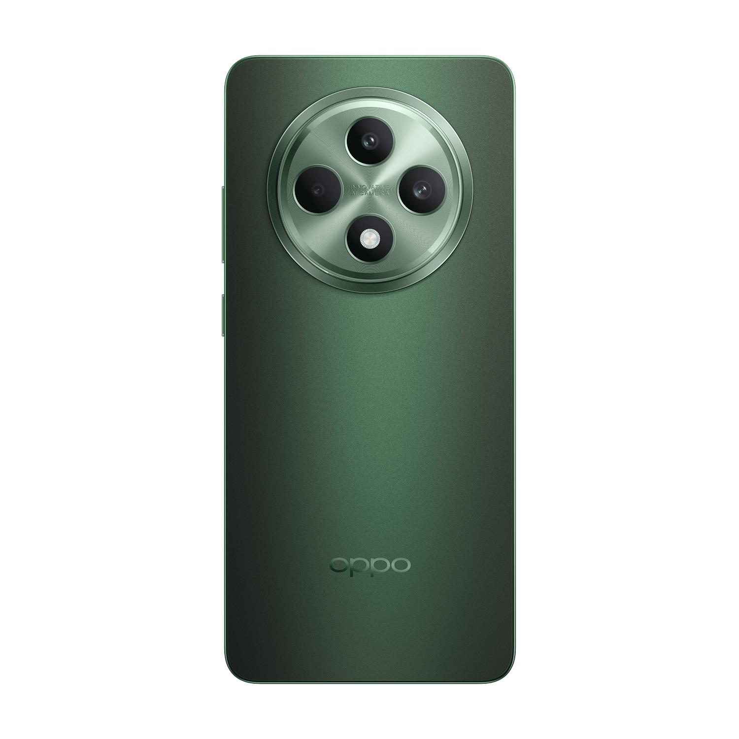 Voir la diapositive 5 : OPPO Reno 12FS 5G 512Go - Vert