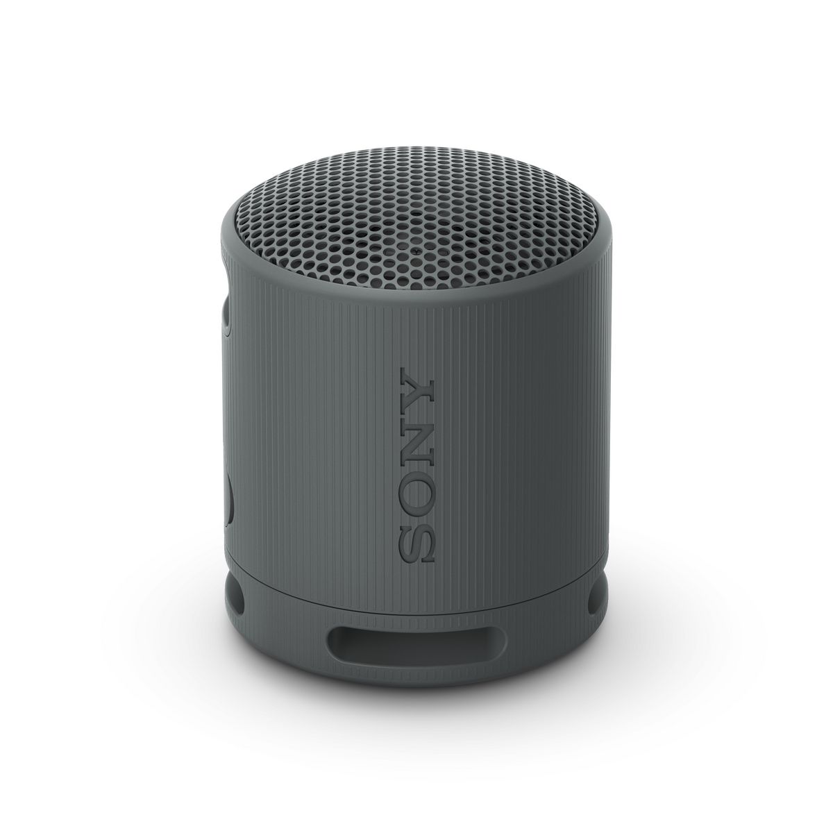 SONY Enceinte Portable XB 100 - Noir