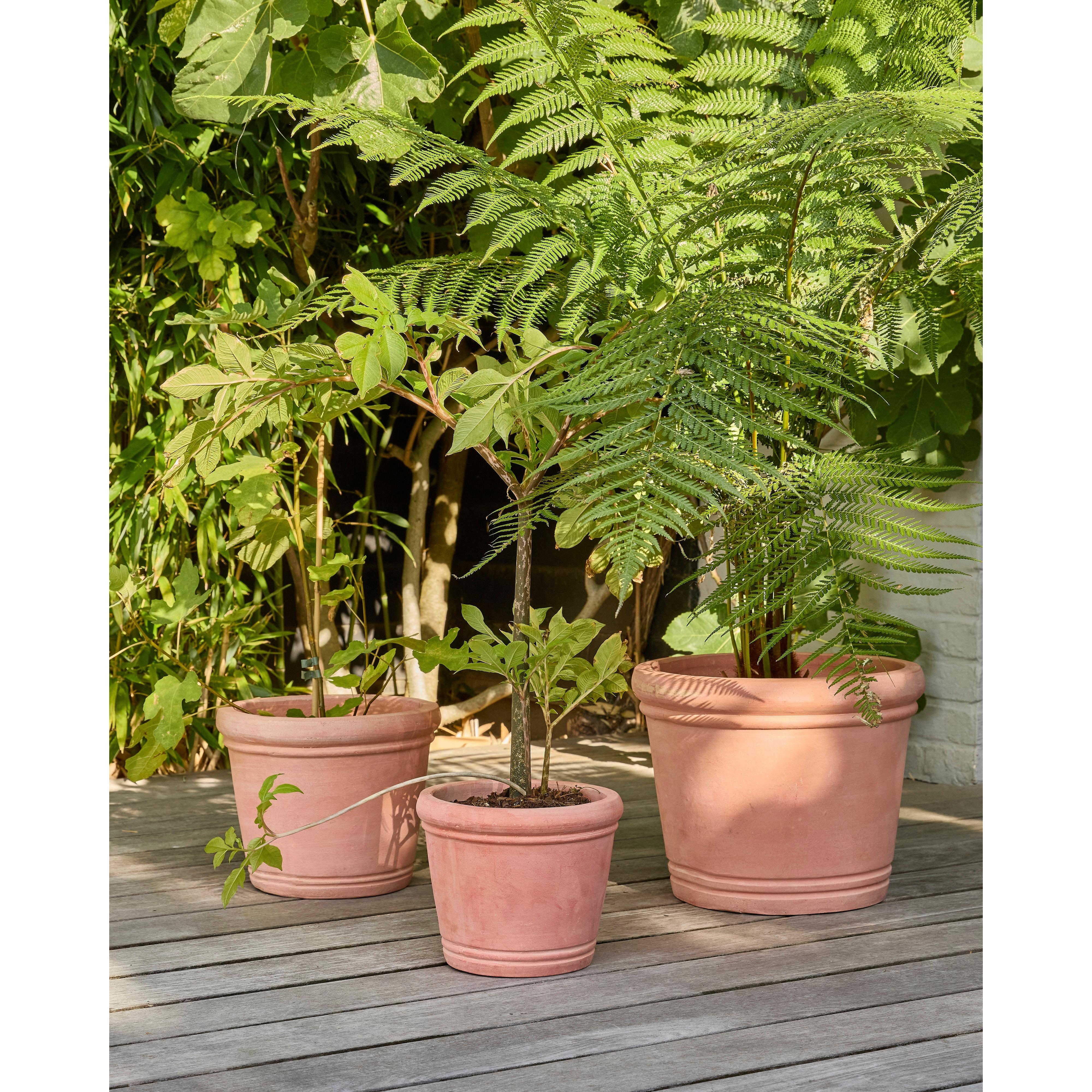 Voir la diapositive 2 : GARDENSTAR Pot terre cuite tradi d30 cm h25 cm