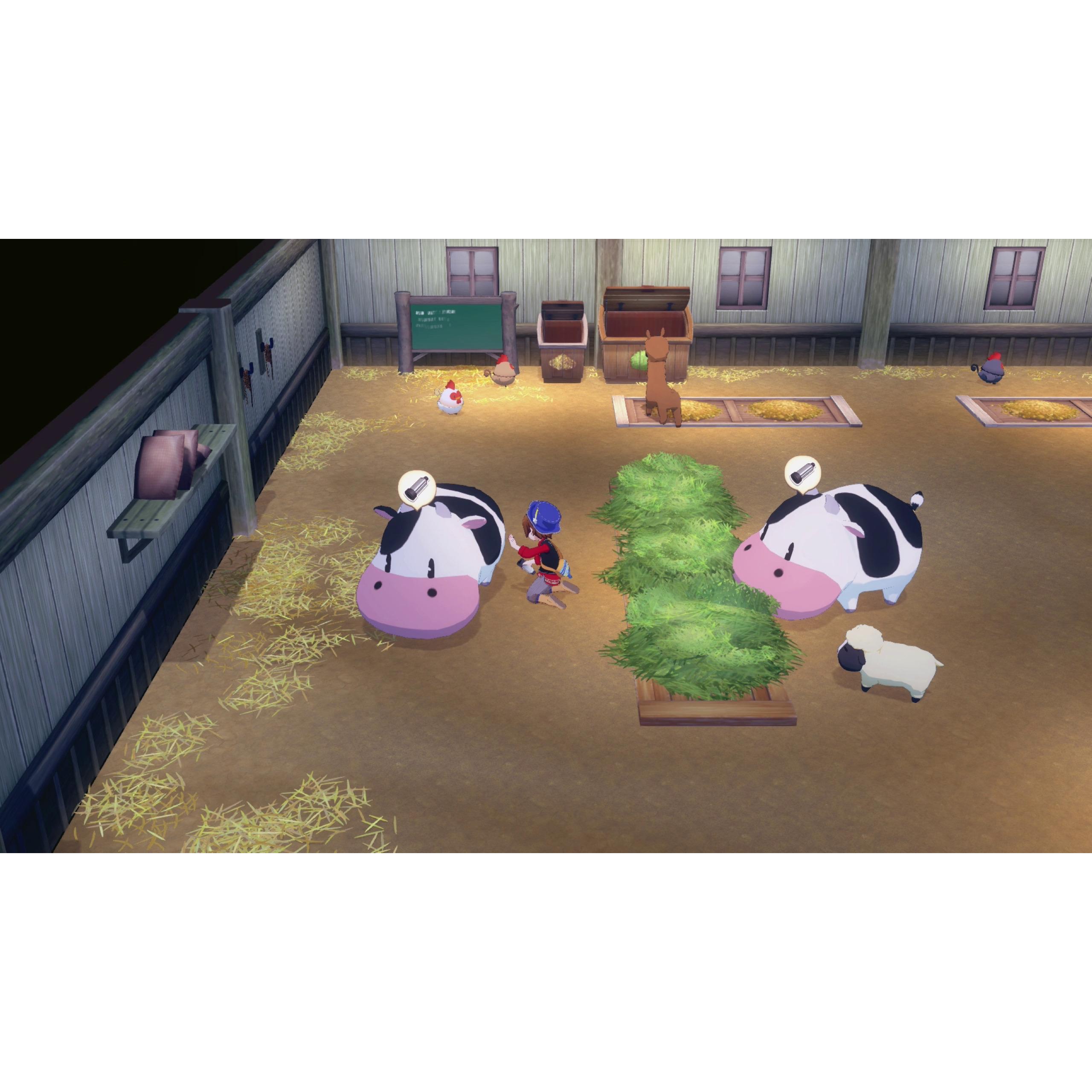 Voir la diapositive 5 : Story of Seasons : Grand Bazaar Limited Edition Nintendo Switch