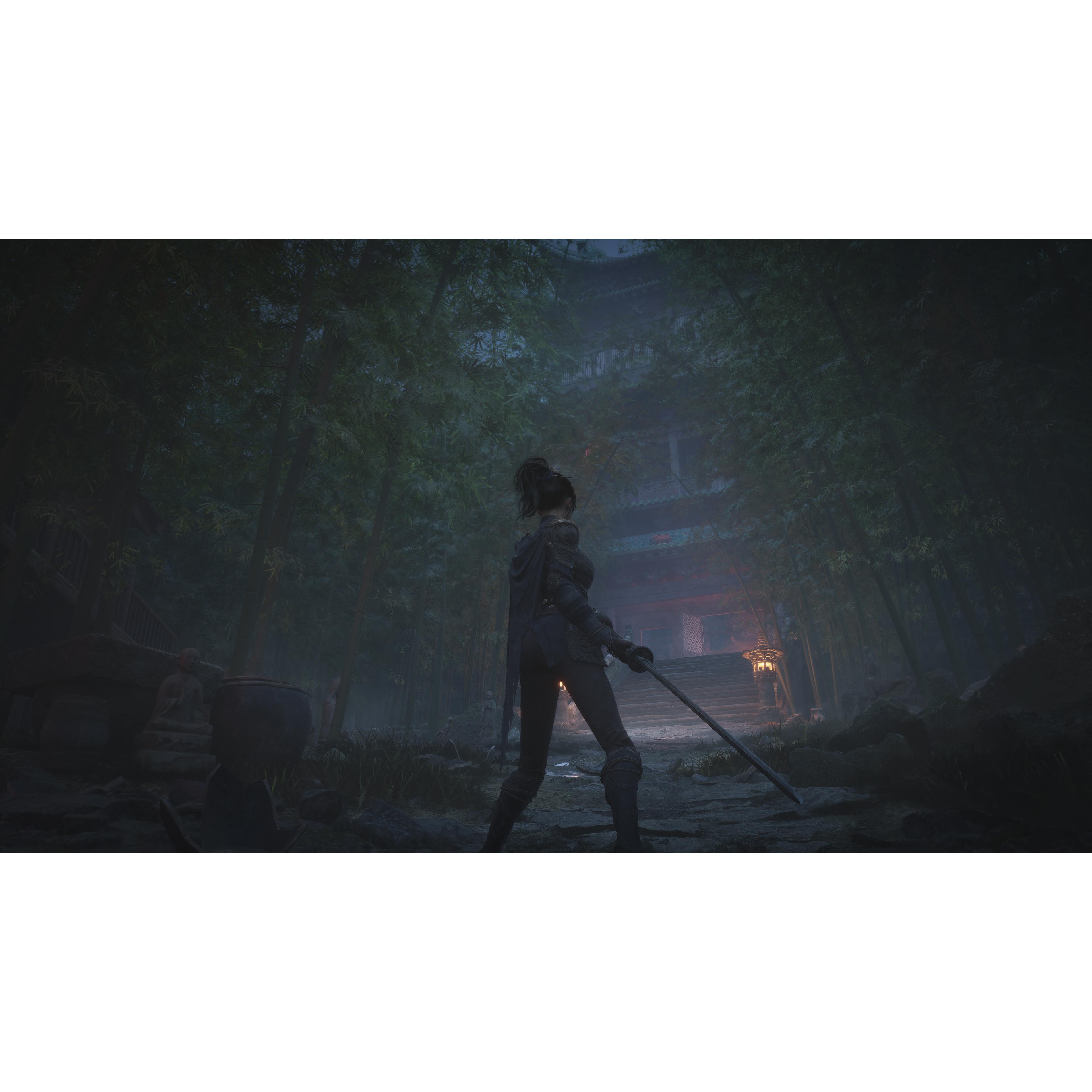 Voir la diapositive 2 : Wuchang : Fallen Feathers Édition Day One PS5