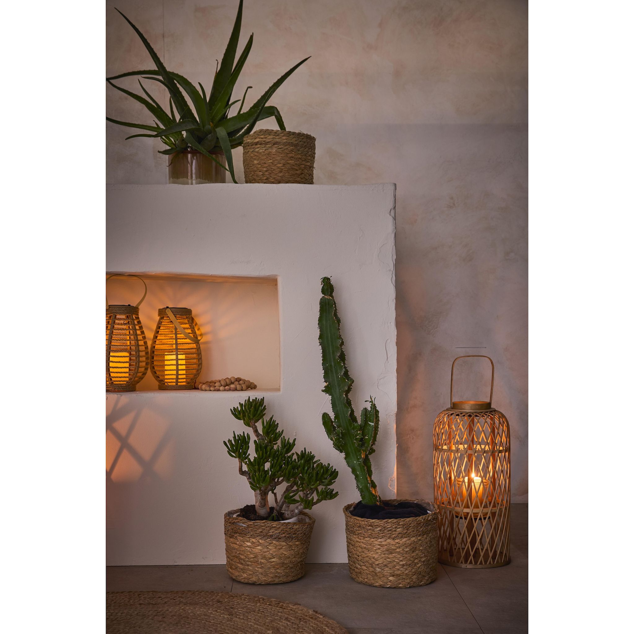 GARDENSTAR Cache-pot nature d22 cm int