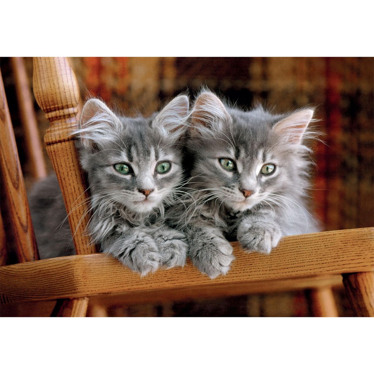 CLEMENTONI Puzzle 2x1000 pièces + 1x500 pièces Haute Qualité Collection