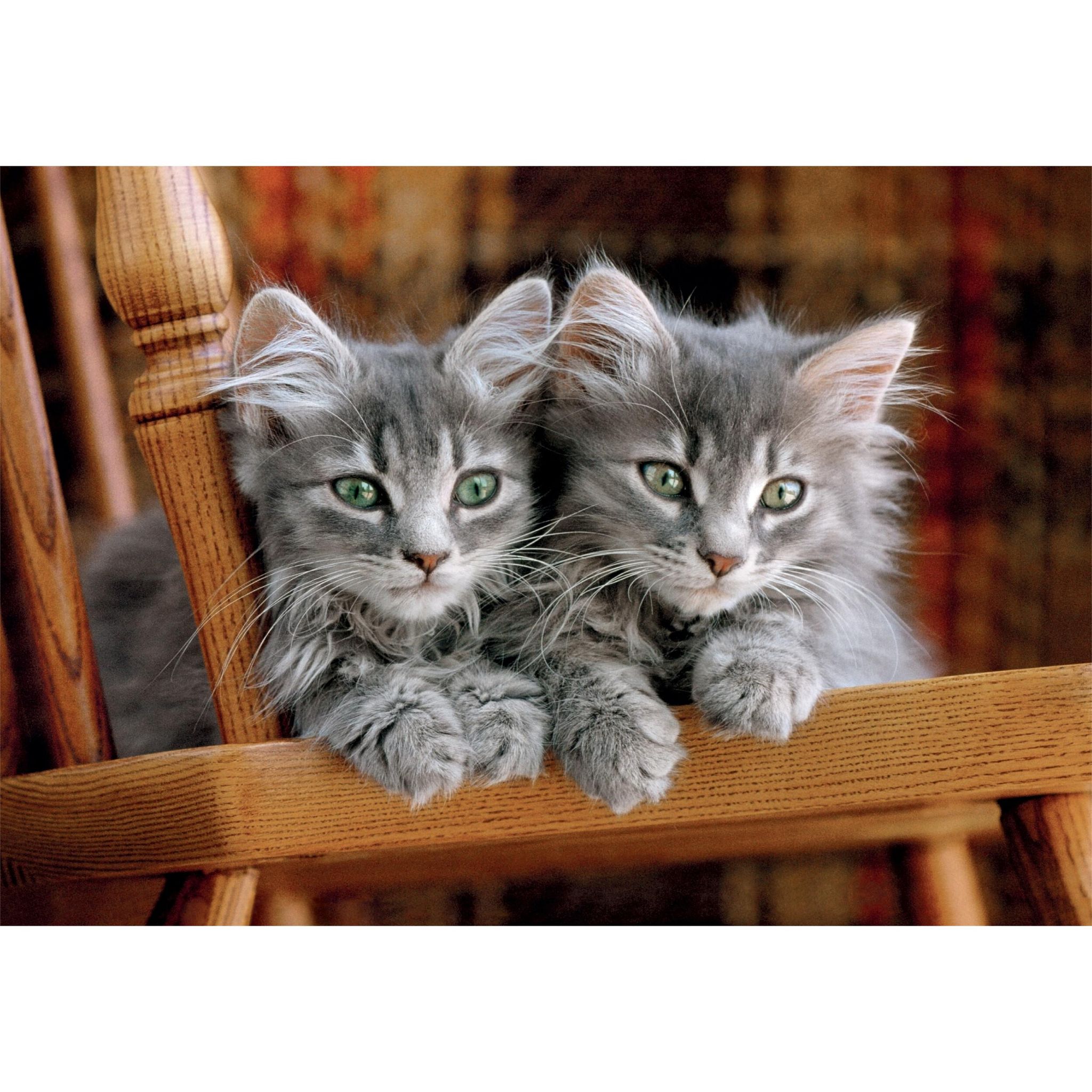 Voir la diapositive 4 : CLEMENTONI Puzzle 2x1000 pièces + 1x500 pièces Haute Qualité Collection