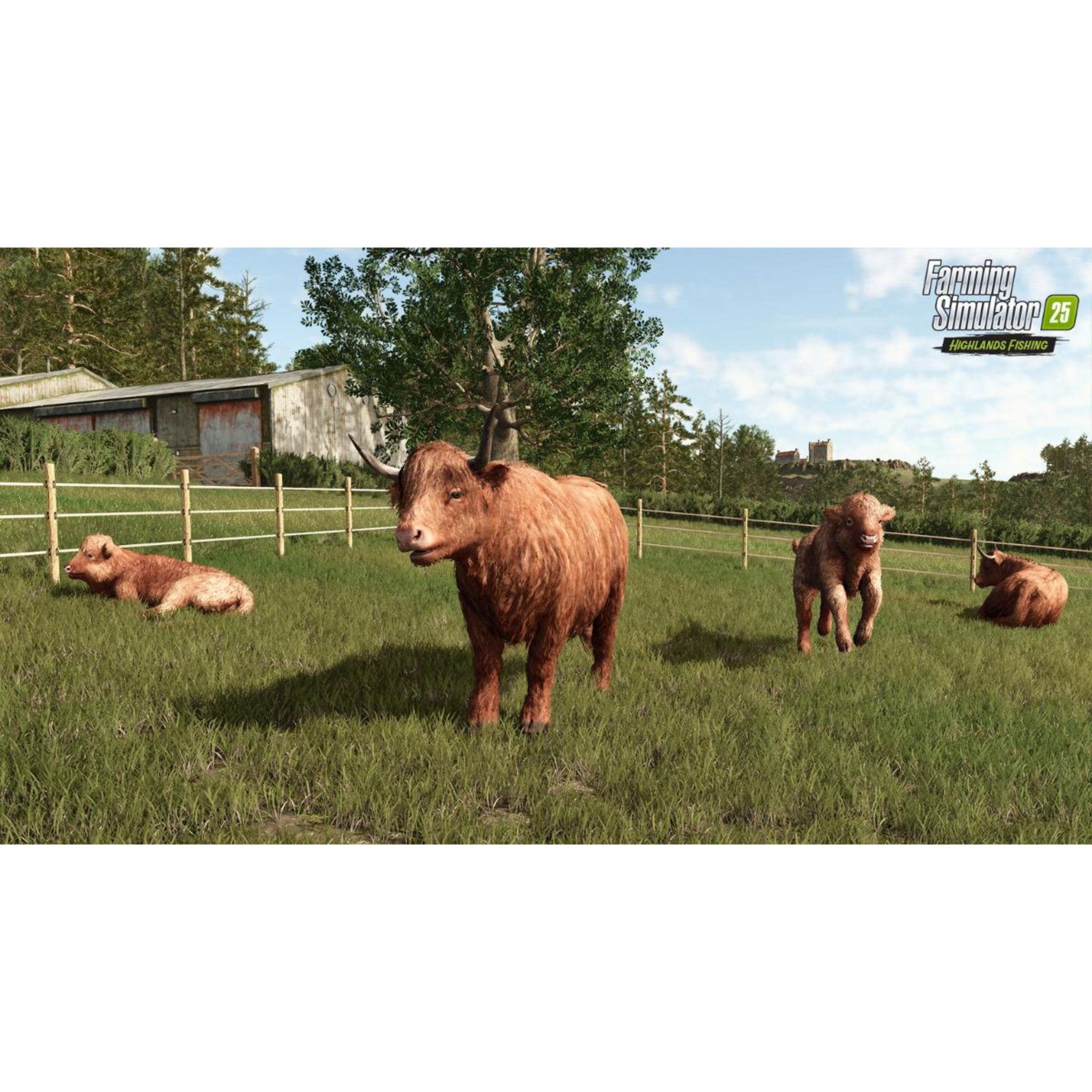 Voir la diapositive 4 : Farming Simulator 25: Highlands Fisching Edition PC