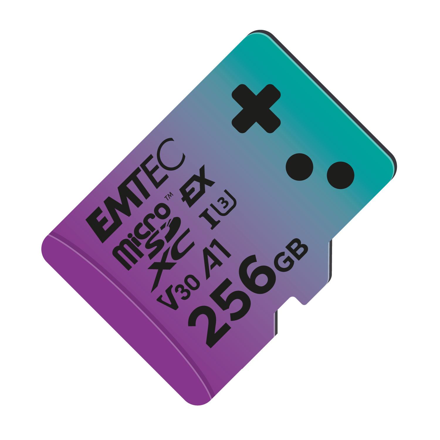 Voir la diapositive 2 : EMTEC Carte mémoire MSD 256Go UHS-I U3 V30