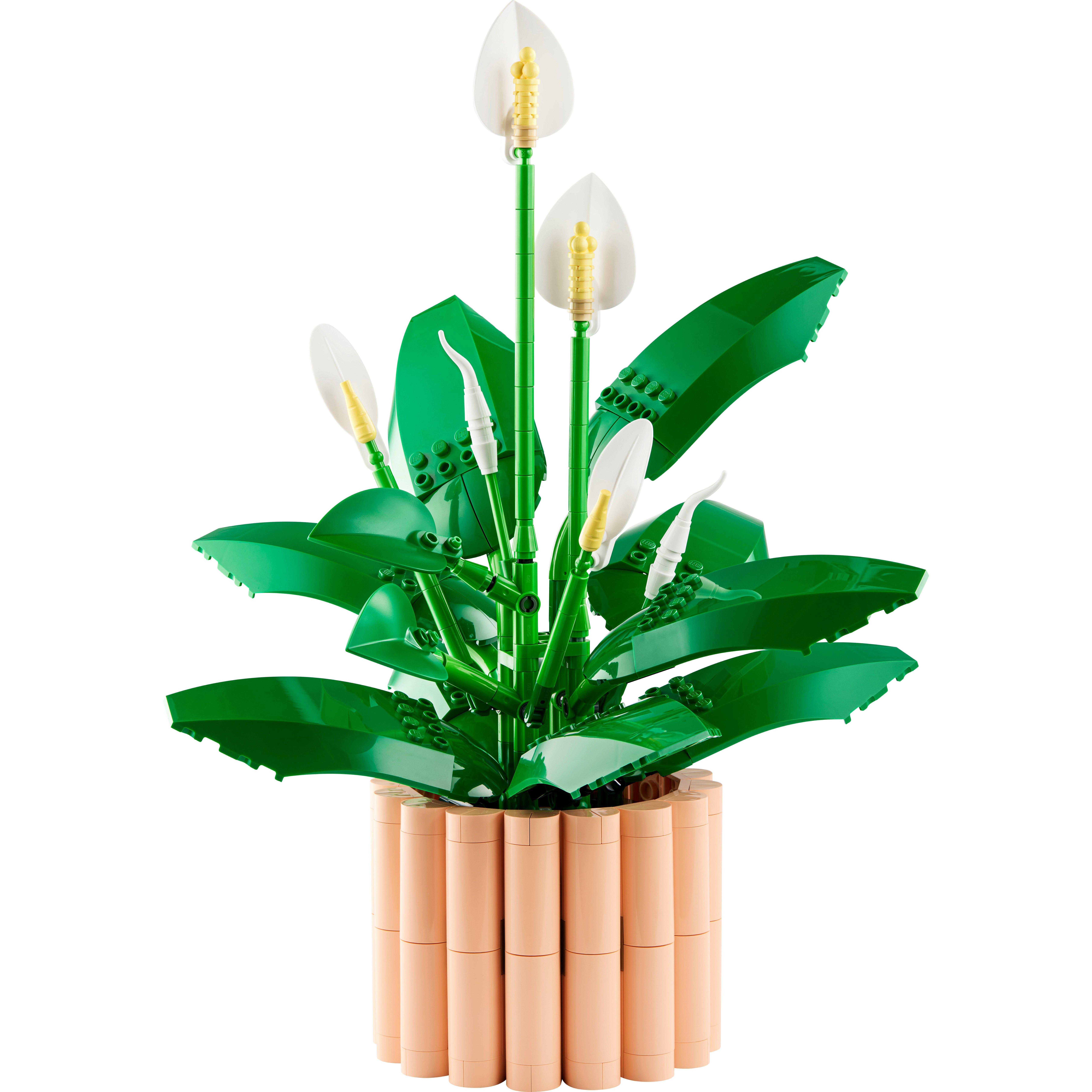 Voir la diapositive 2 : LEGO Botanicals 11504 Les Fleurs de Lune - Set de Plante Artificielle pour Adulte - Déco