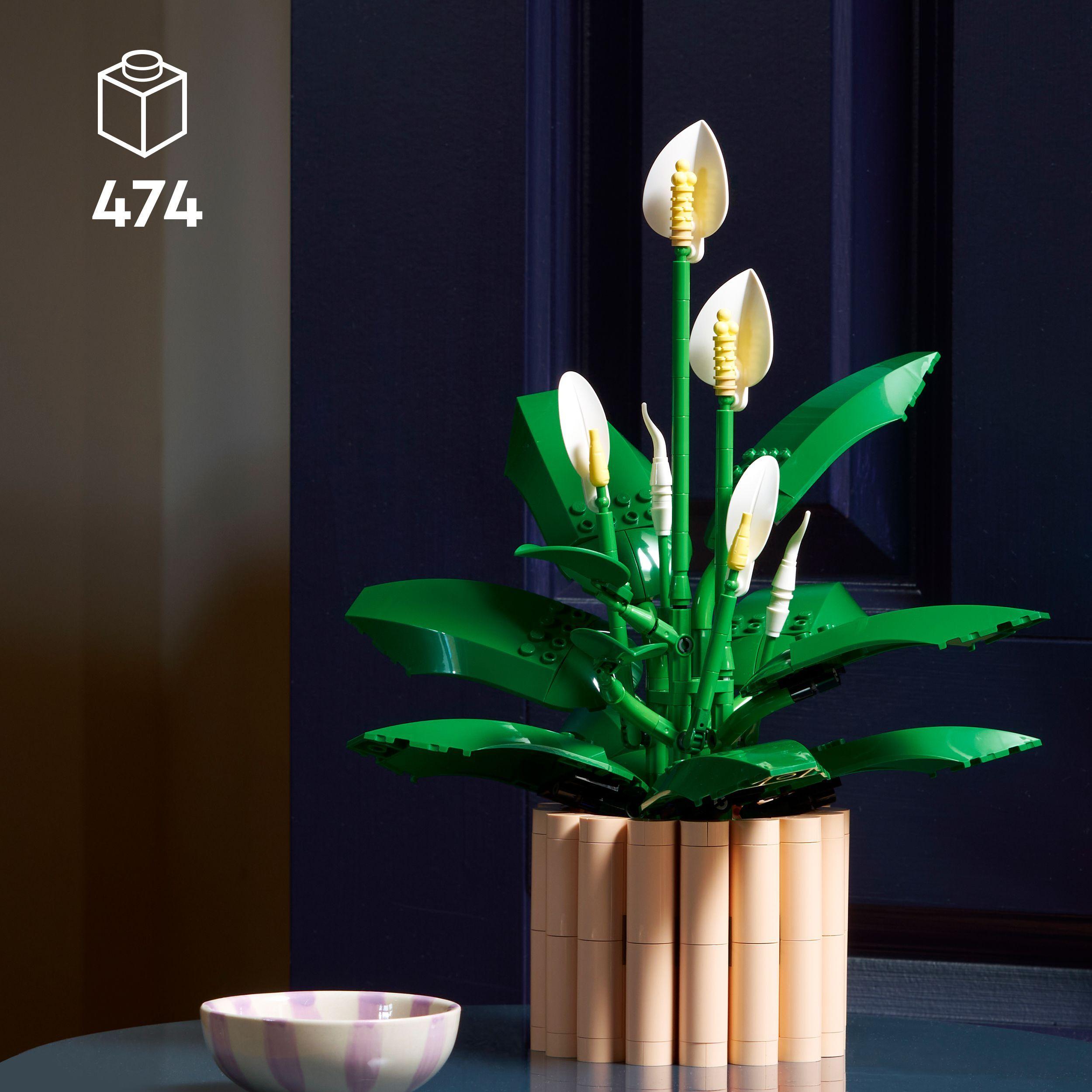 Voir la diapositive 3 : LEGO Botanicals 11504 Les Fleurs de Lune - Set de Plante Artificielle pour Adulte - Déco