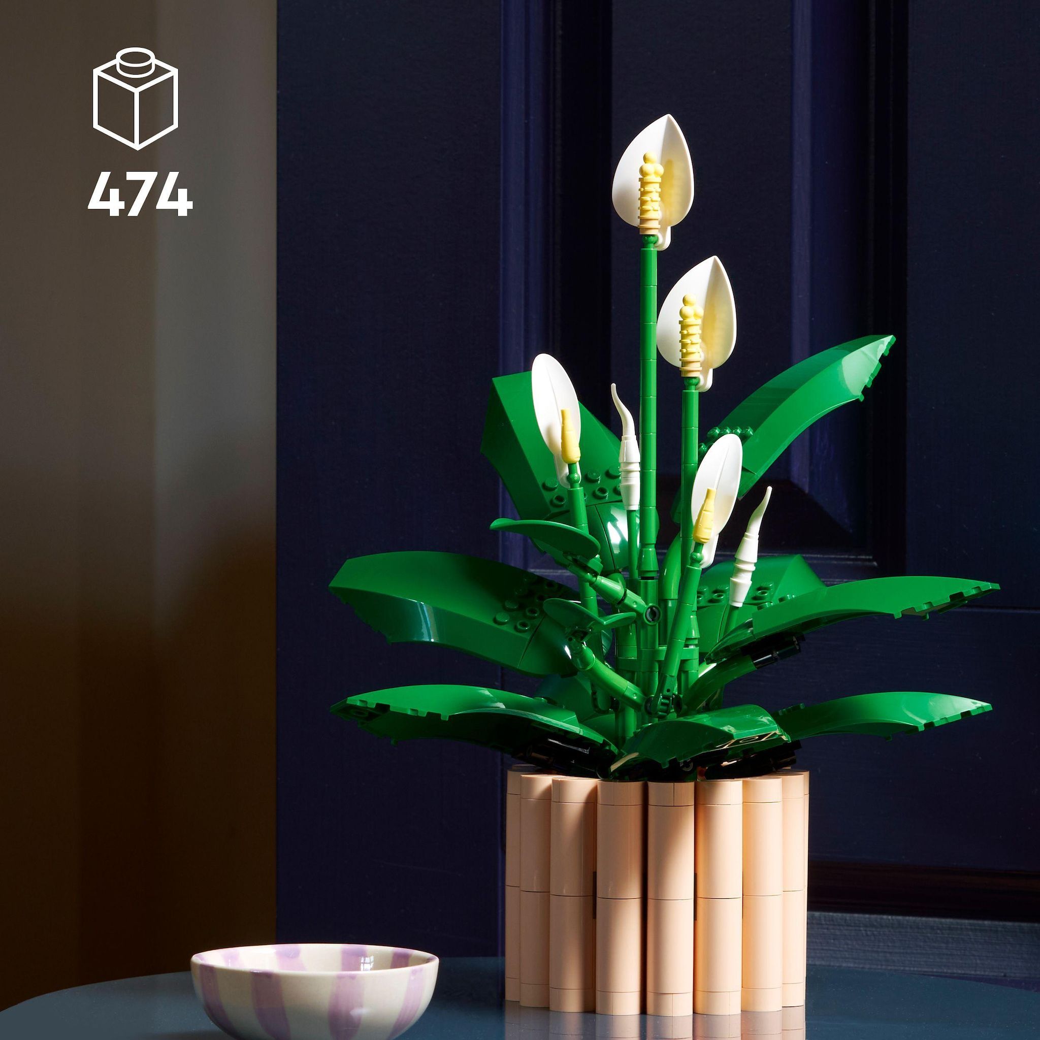 Voir la diapositive 3 : LEGO Botanicals 11504 - Les Fleurs de Lune