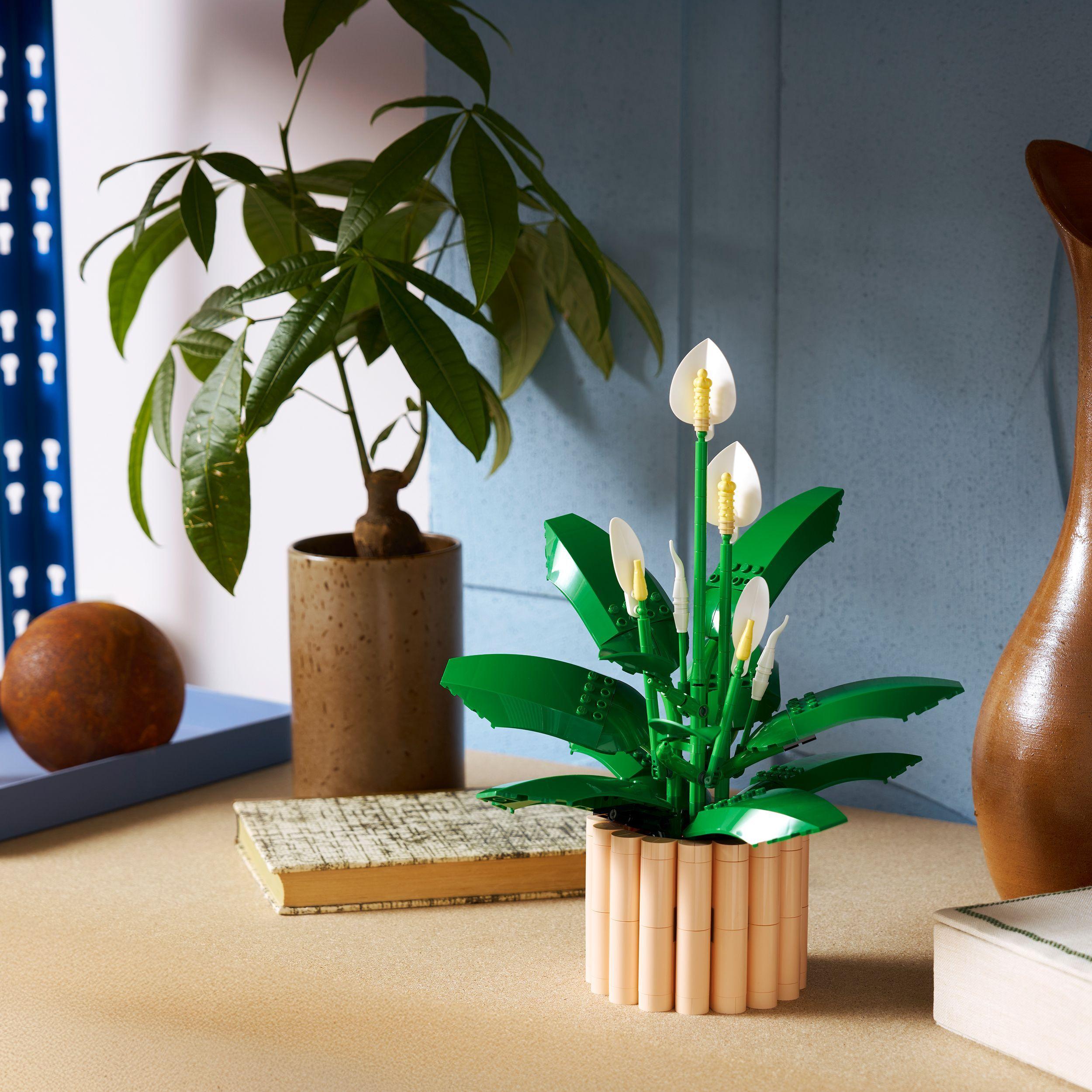 Voir la diapositive 4 : LEGO Botanicals 11504 Les Fleurs de Lune - Set de Plante Artificielle pour Adulte - Déco