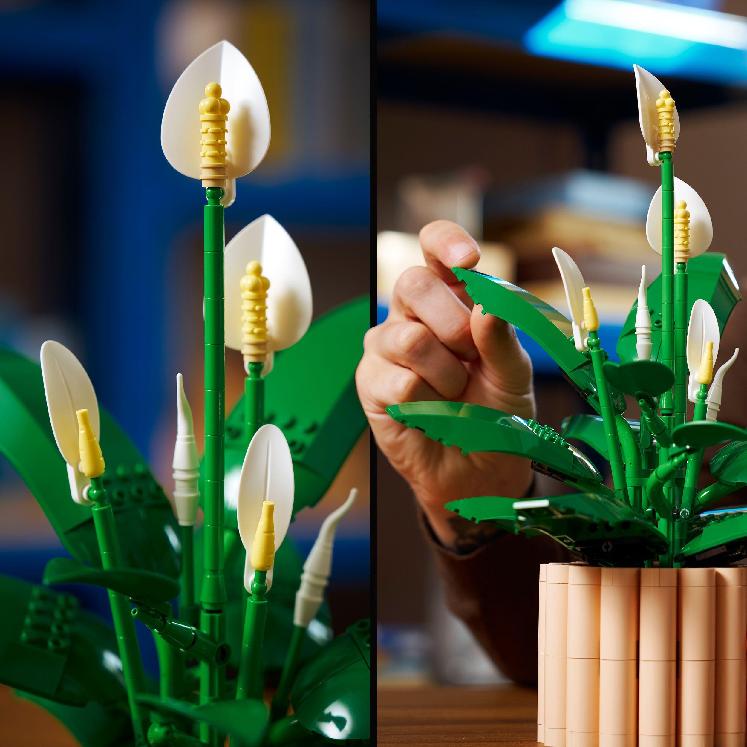 Voir la diapositive 5 : LEGO Botanicals 11504 Les Fleurs de Lune - Set de Plante Artificielle pour Adulte - Déco