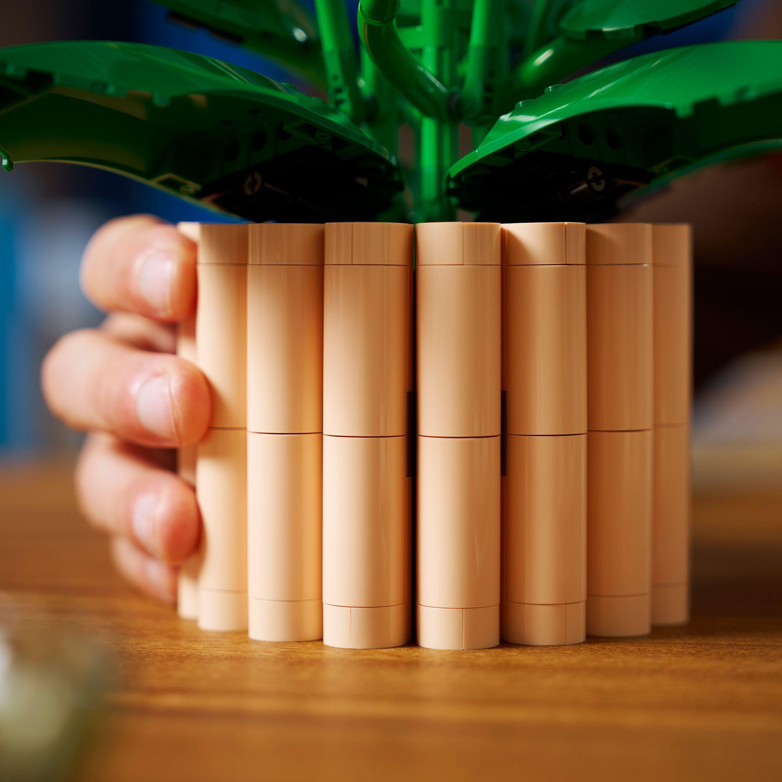Voir la diapositive 6 : LEGO Botanicals 11504 Les Fleurs de Lune - Set de Plante Artificielle pour Adulte - Déco