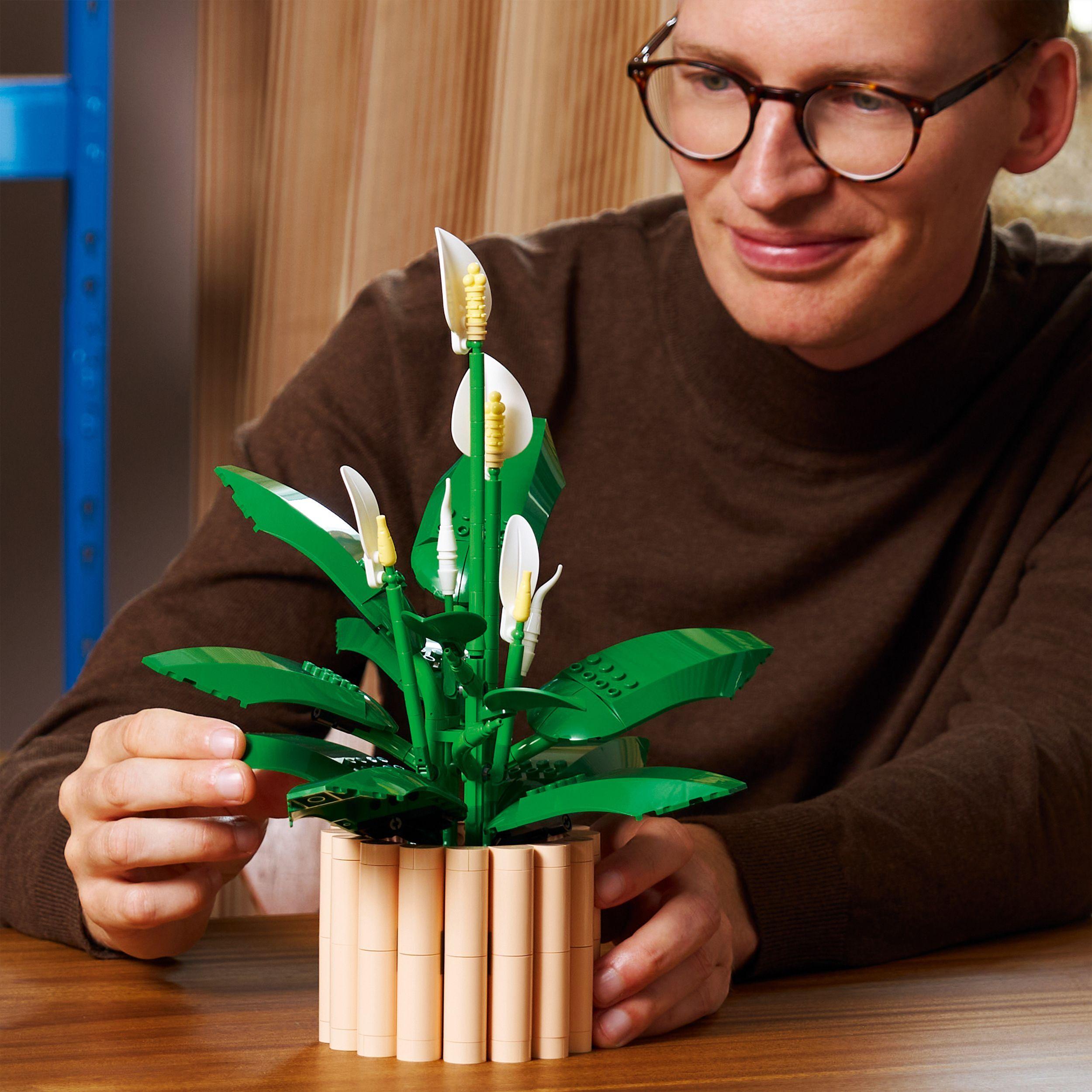 Voir la diapositive 7 : LEGO Botanicals 11504 Les Fleurs de Lune - Set de Plante Artificielle pour Adulte - Déco