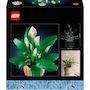 Voir la diapositive 8 : LEGO Botanicals 11504 - Les fleurs de Lune