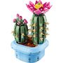 Voir la diapositive 2 : LEGO Botanicals 11509 - Cactus fleuri
