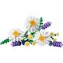 Voir la diapositive 2 : LEGO Botanicals 11508 - Marguerites