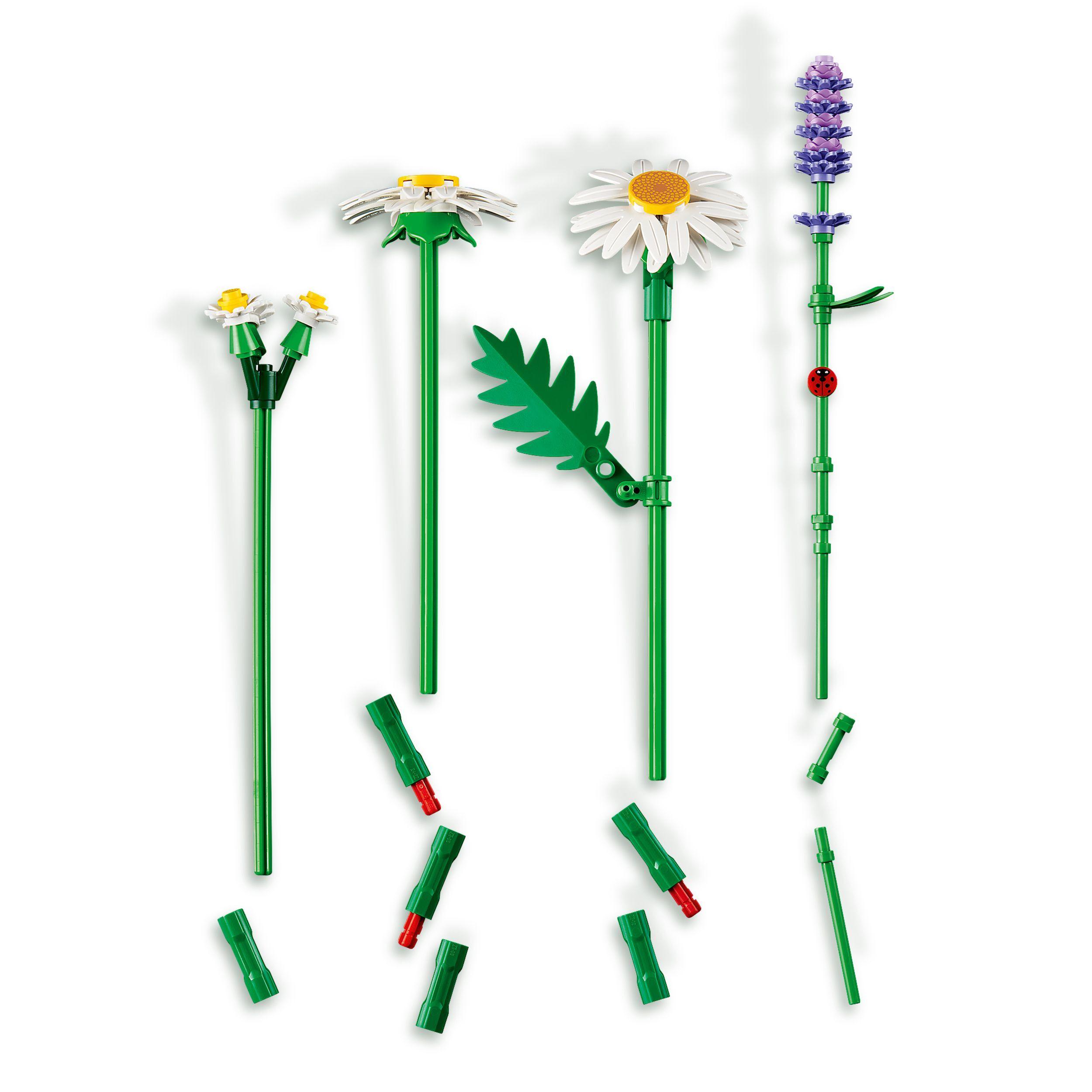 Voir la diapositive 5 : LEGO Botanicals 11508 Marguerites - Set de Bouquet Artificiel dès 9 ans - Fleurs Colorées