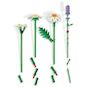 Voir la diapositive 5 : LEGO Botanicals 11508 - Marguerites