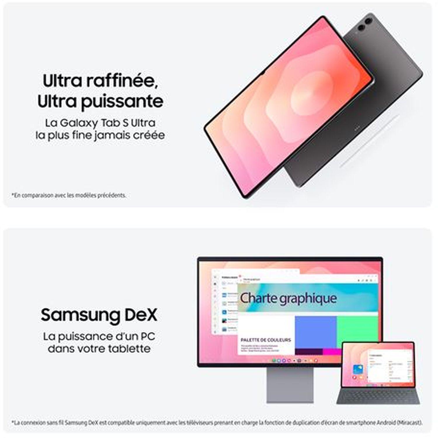 Voir la diapositive 3 : SAMSUNG TAB S11 Ultra 256Go - Gris